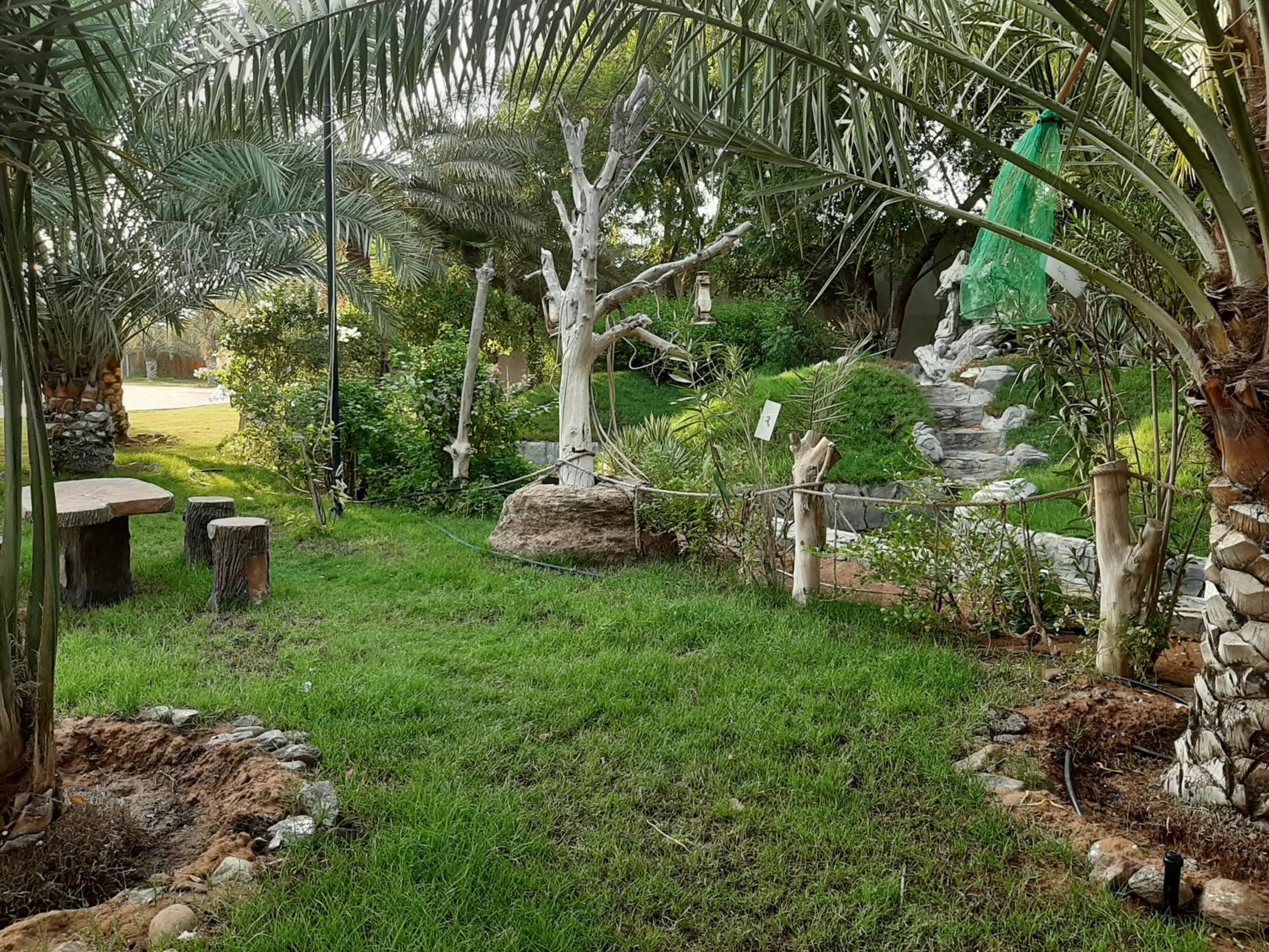 Garden in Daraysh Hotel