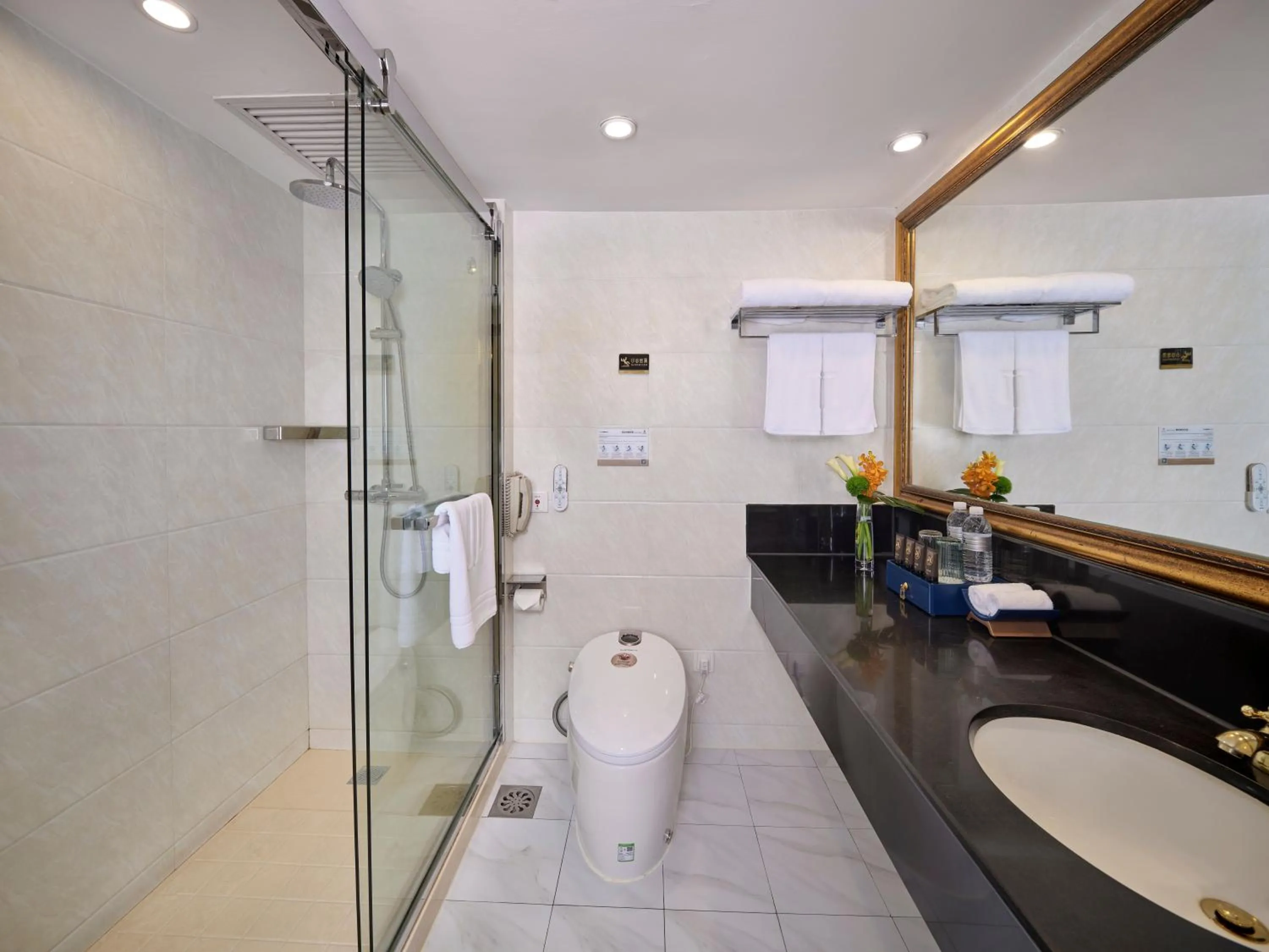 Toilet in Shanghai Park Hotel