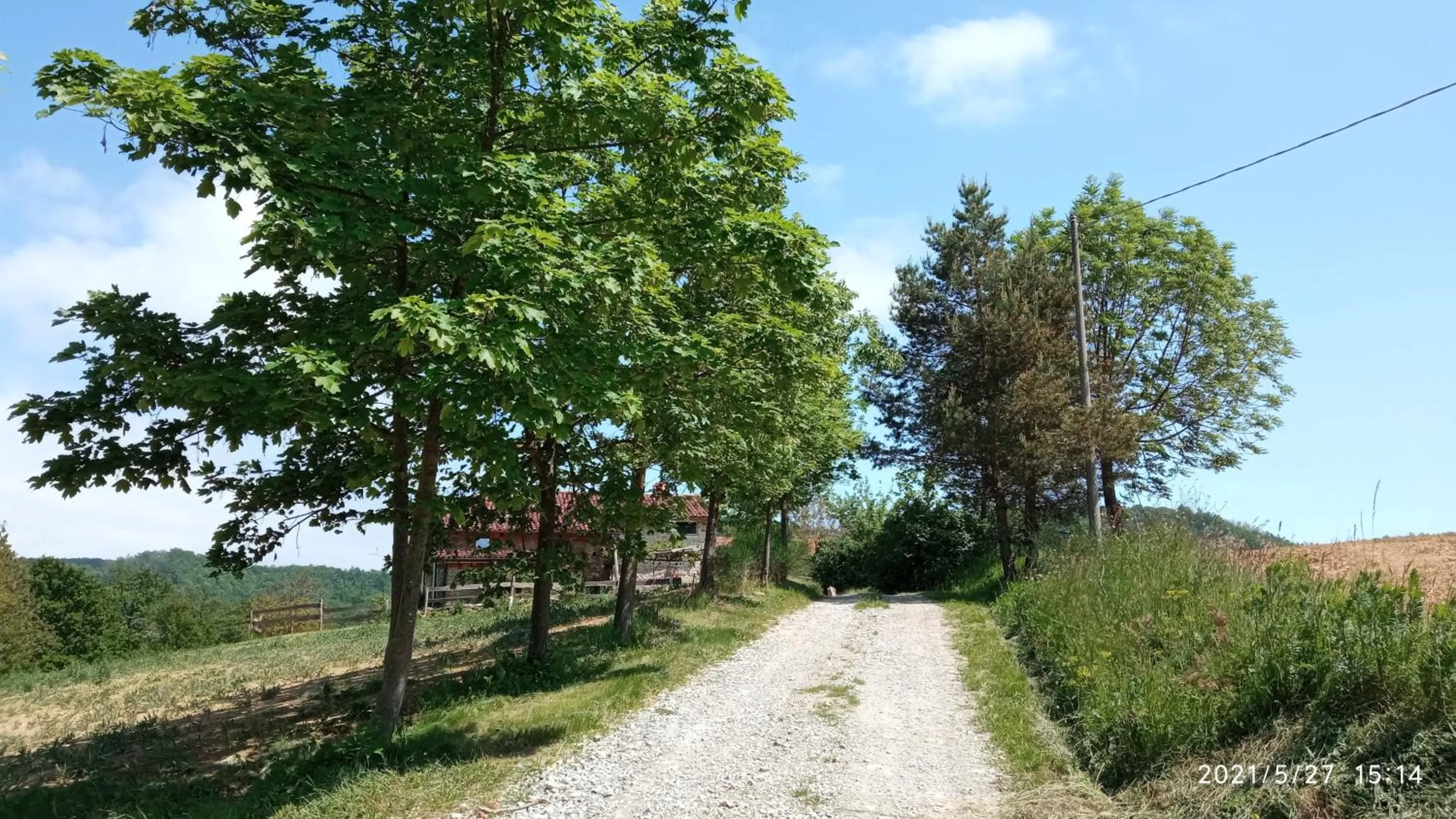Street view in Cascina Boschetto