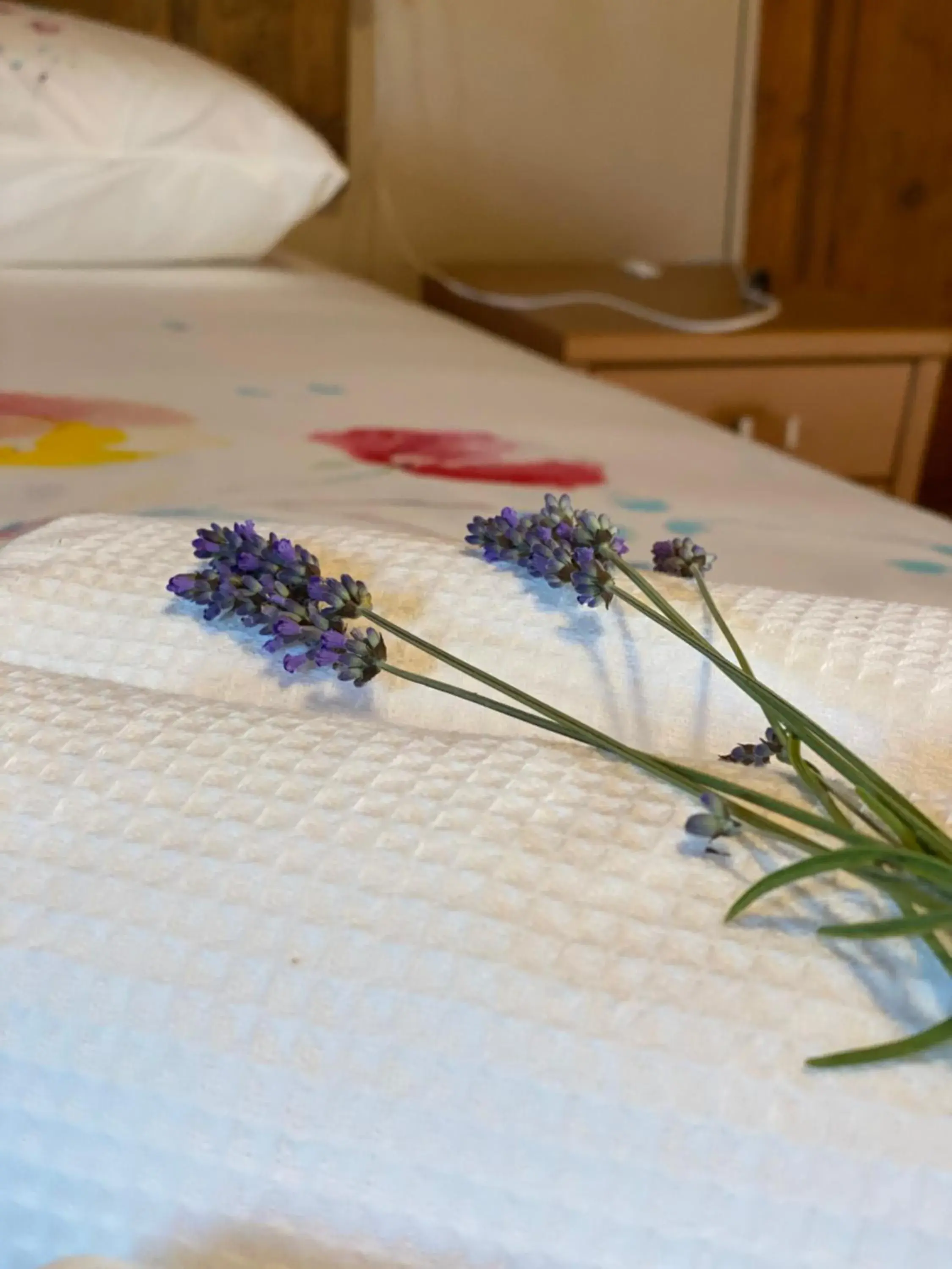 Family Junior Suite - single occupancy in Cascina Boschetto Family Junior Suite - single occupancy in Cascina Boschetto