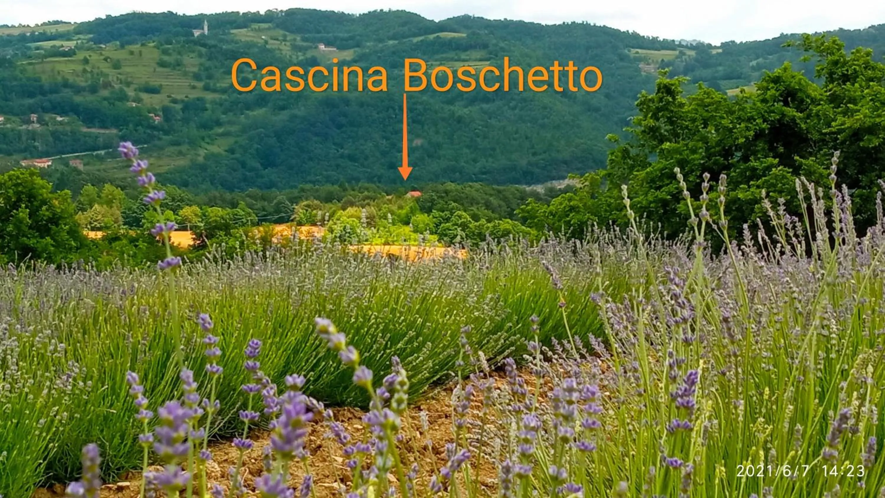 View (from property/room) in Cascina Boschetto