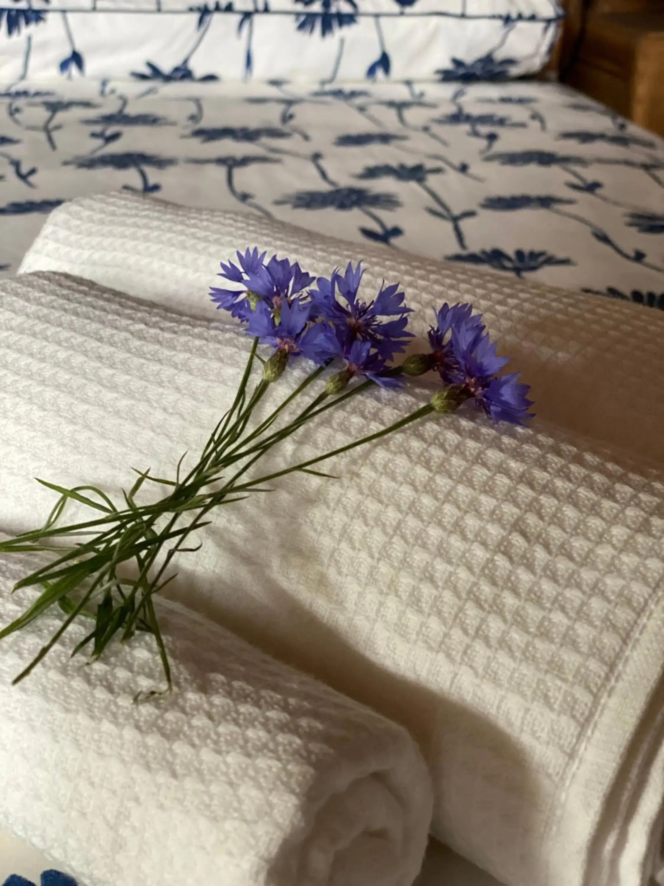 Standard Family Room - single occupancy in Cascina Boschetto Standard Family Room - single occupancy in Cascina Boschetto