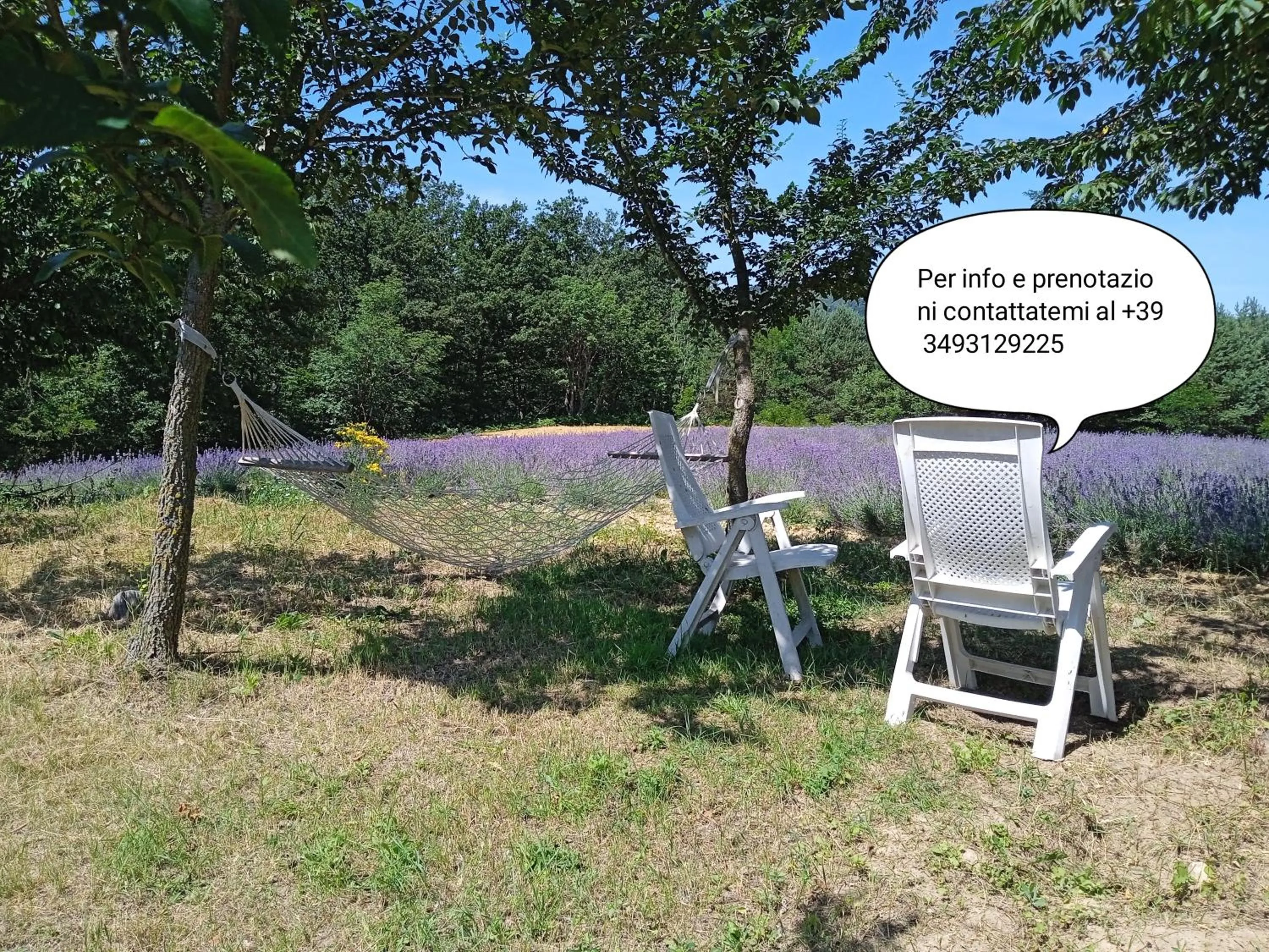 View (from property/room) in Cascina Boschetto