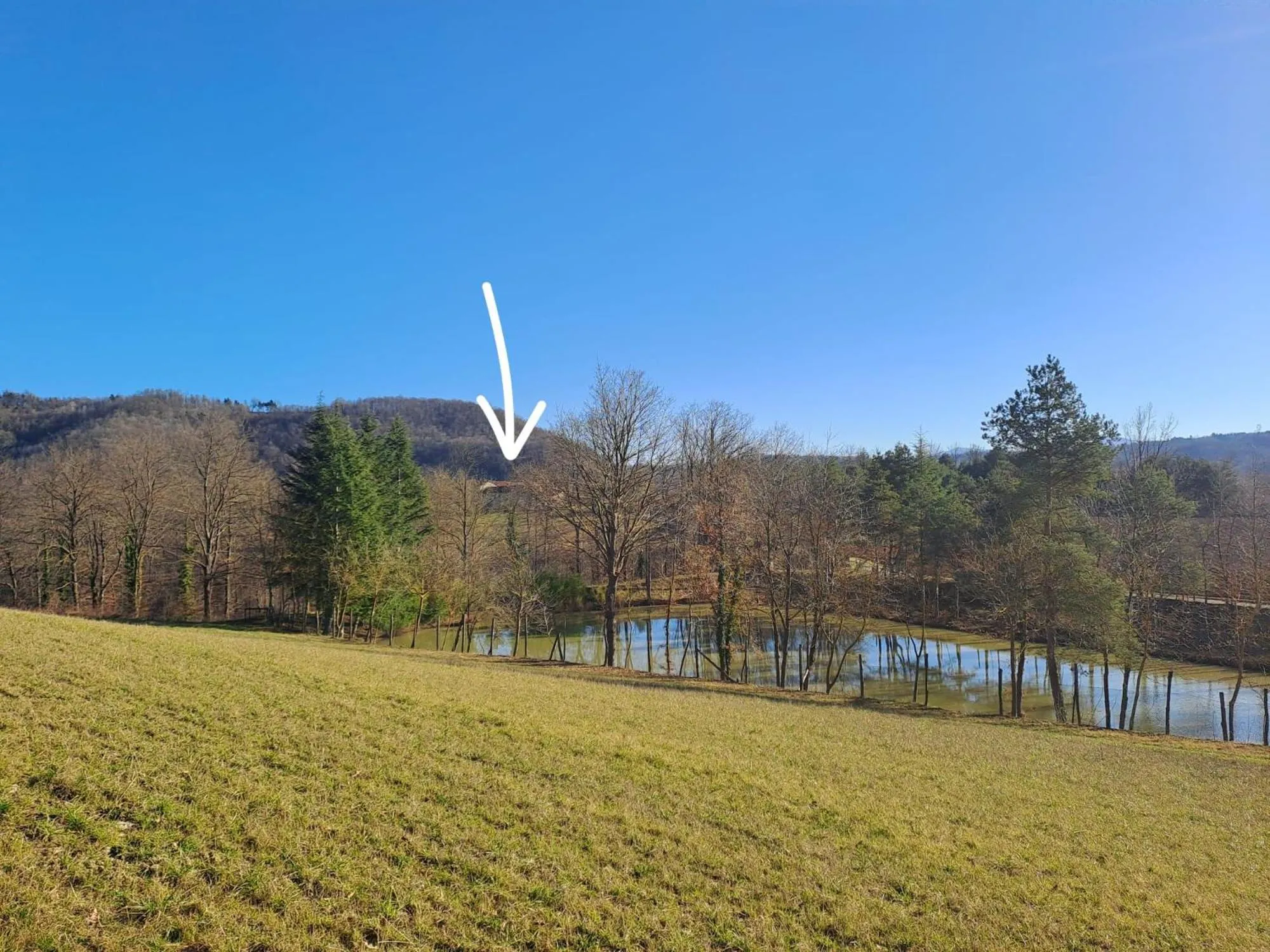 Bird's eye view in Cascina Boschetto