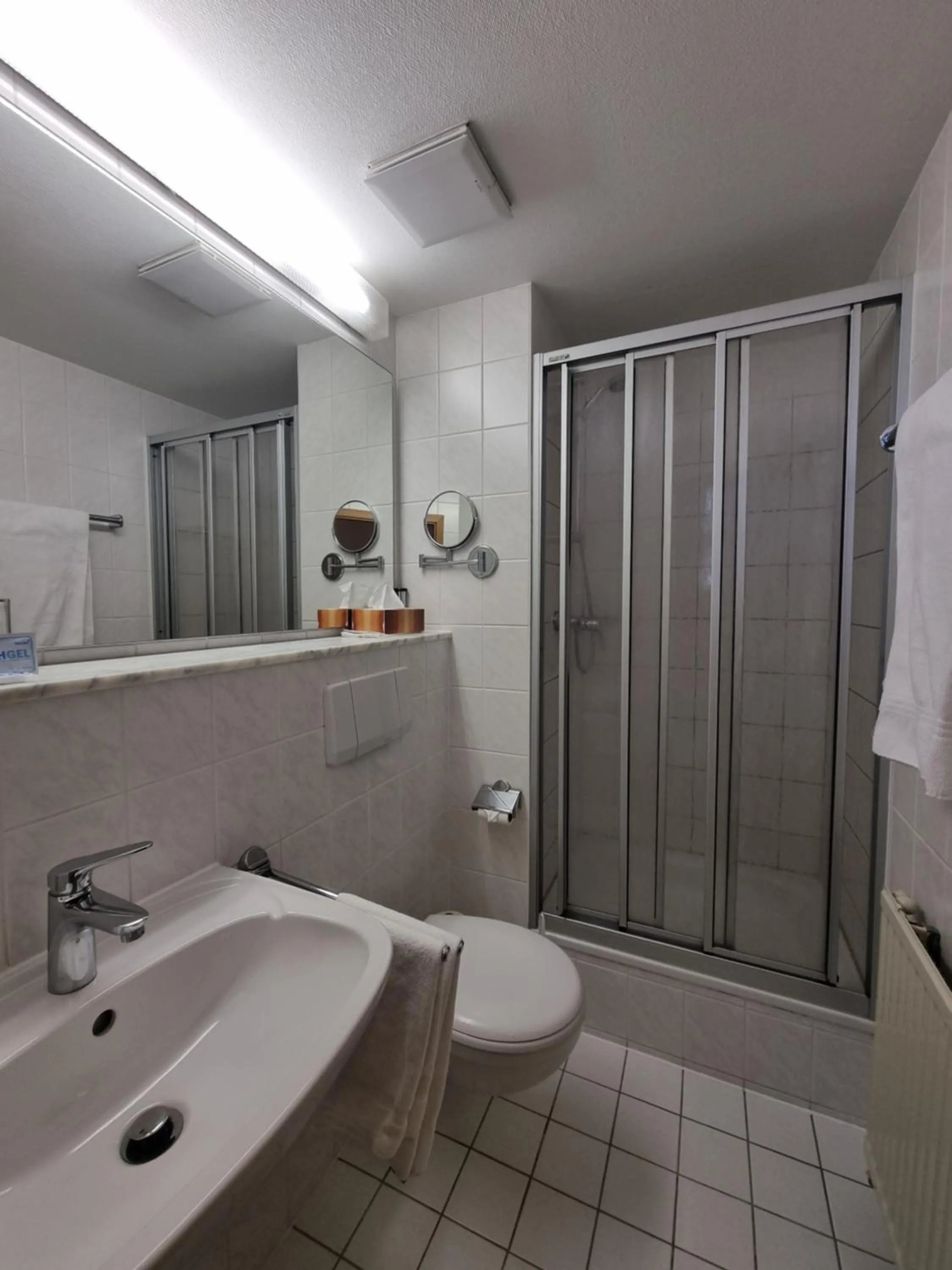 Bathroom in Hotel Park Eckersbach