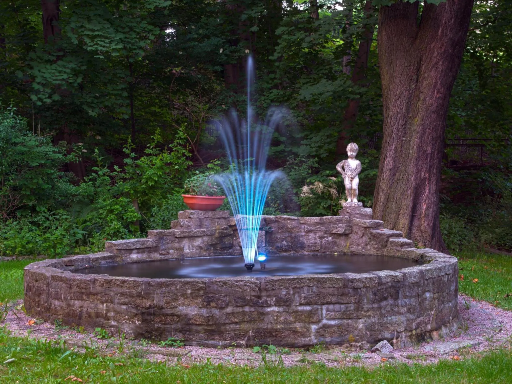 Garden in Hotel Park Eckersbach