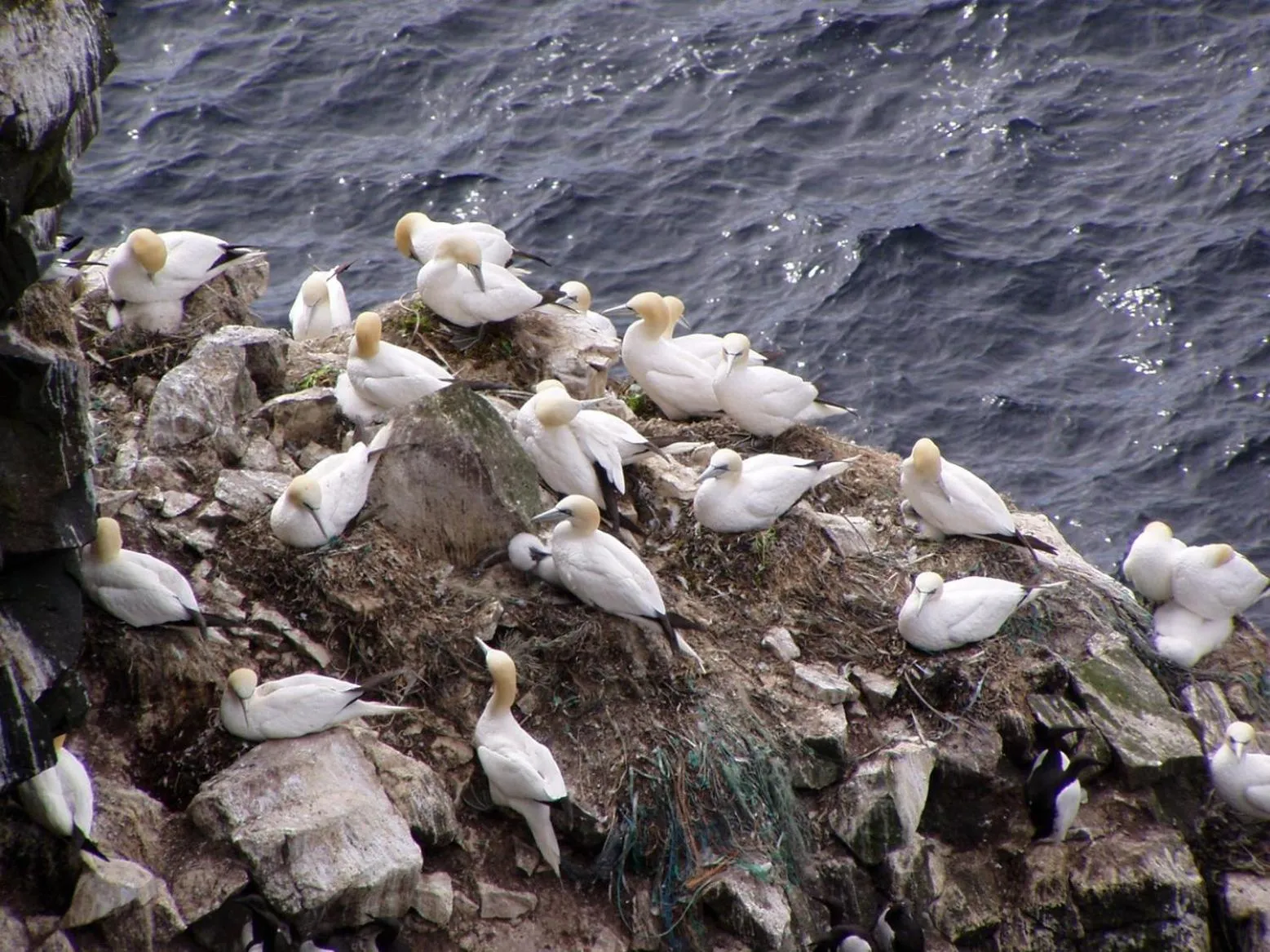 Natural landscape in Cave apartment
