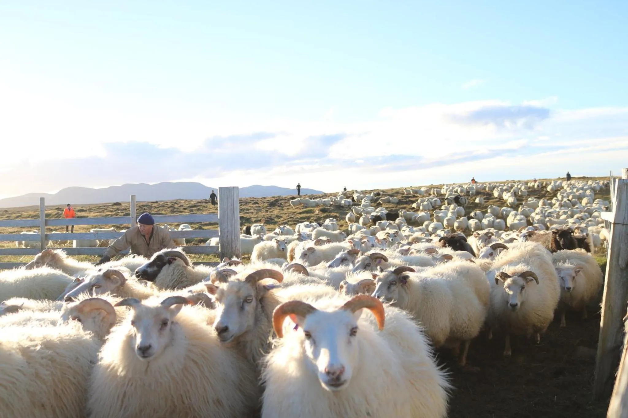 Natural landscape in Cave apartment