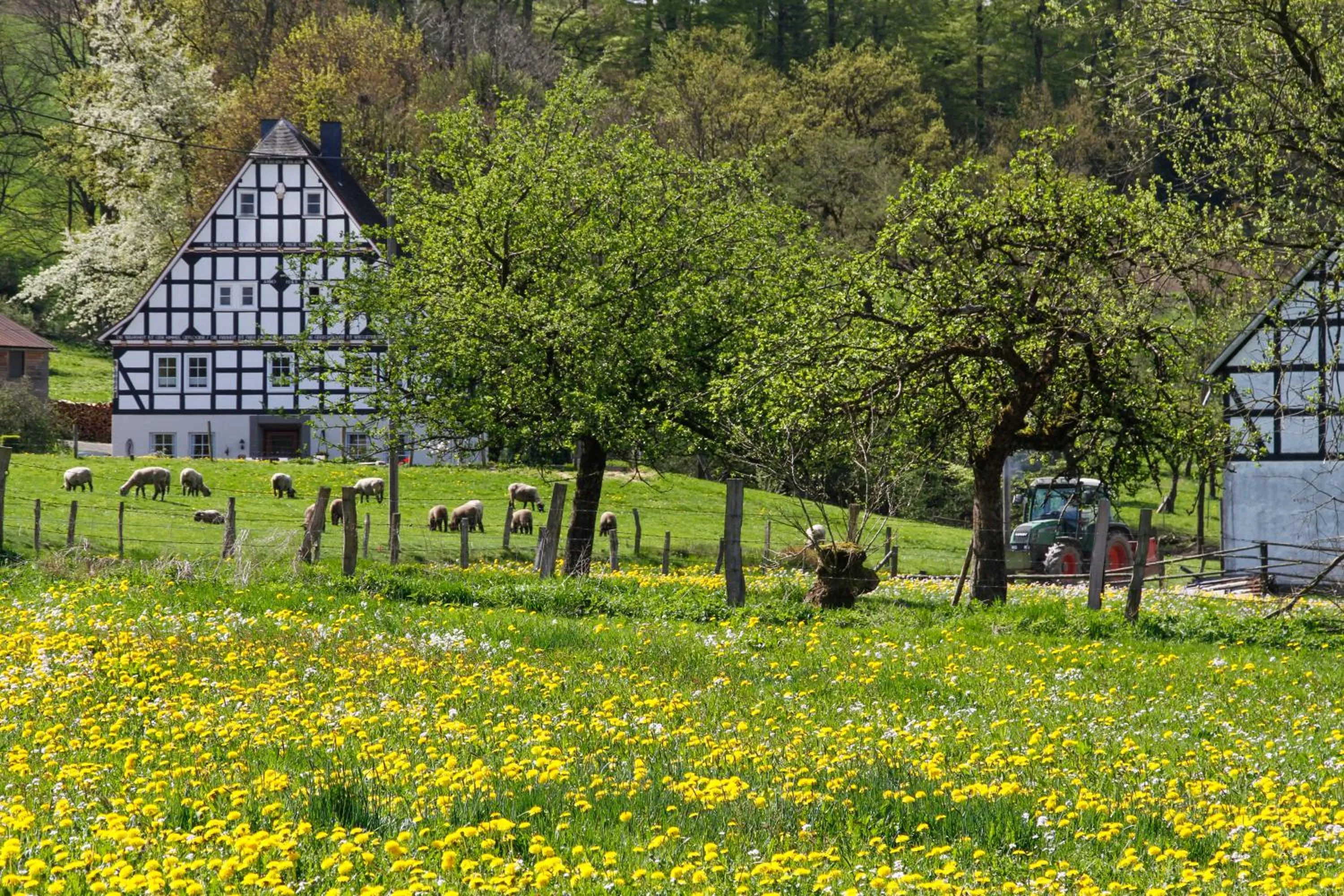 Spring in Landgasthof Gilsbach