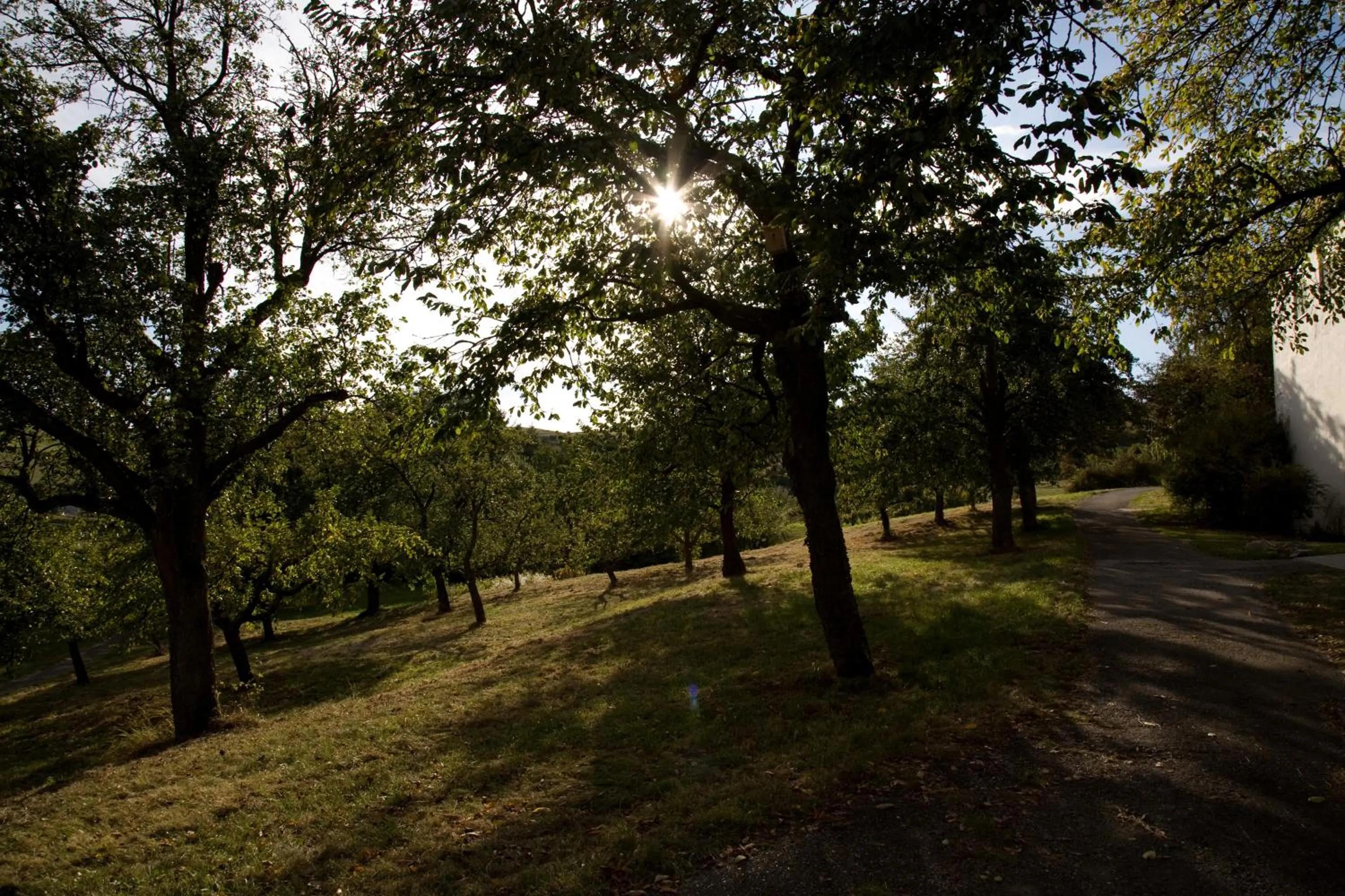 Area and facilities in Engelhard Das Landhotel Garni