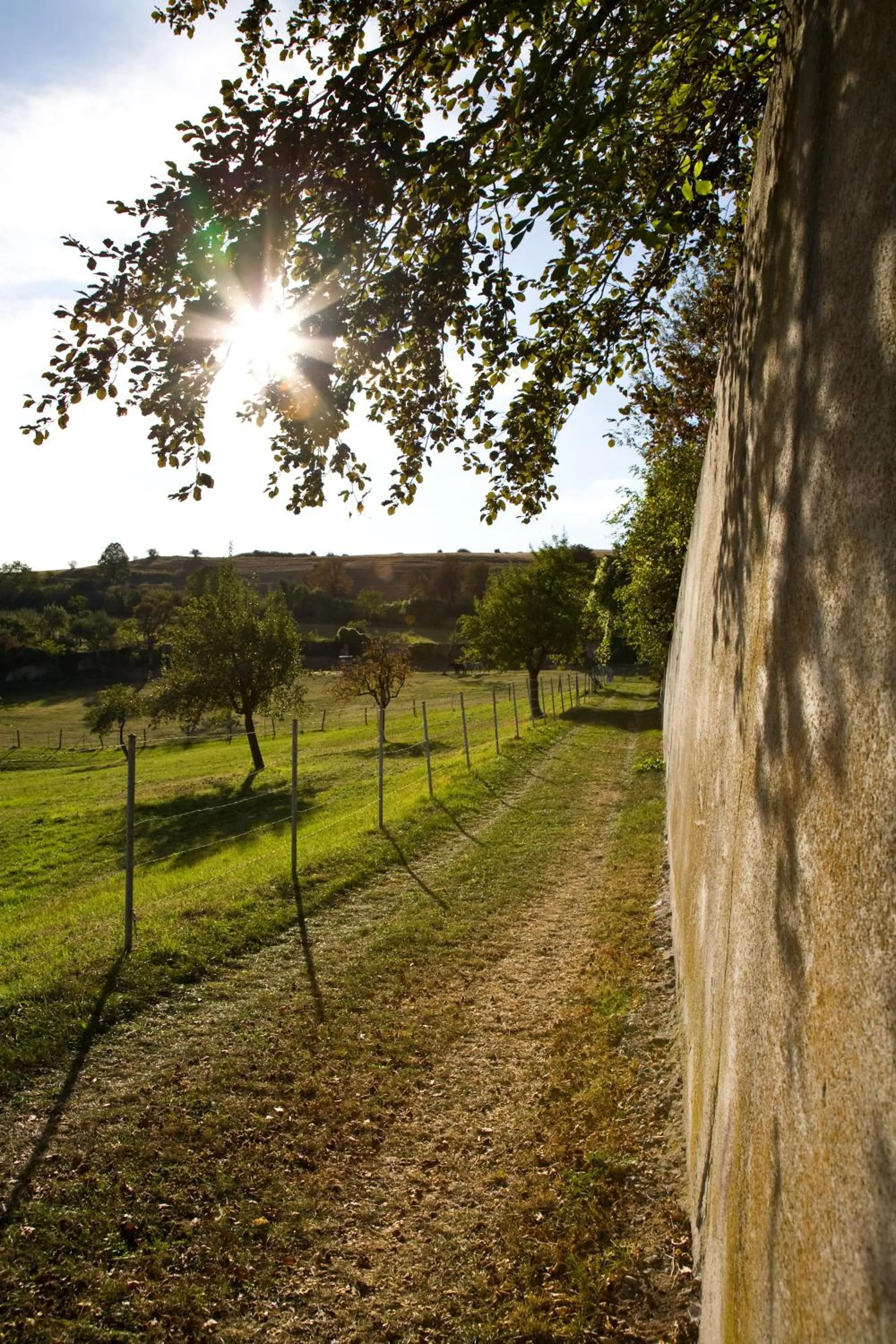 Area and facilities in Engelhard Das Landhotel Garni