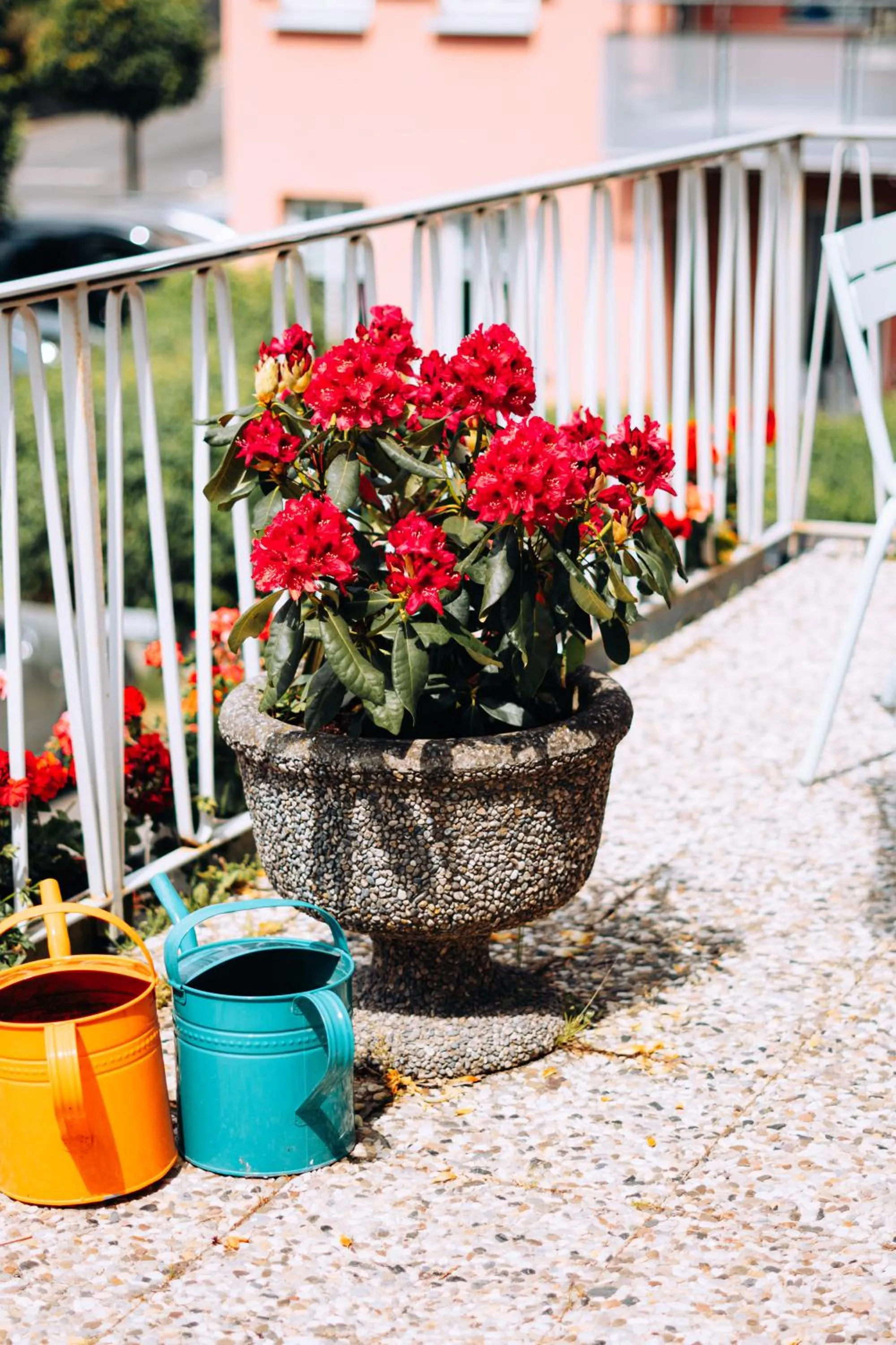 Balcony/Terrace in Molo Rouge - Boutiquehotel & Café