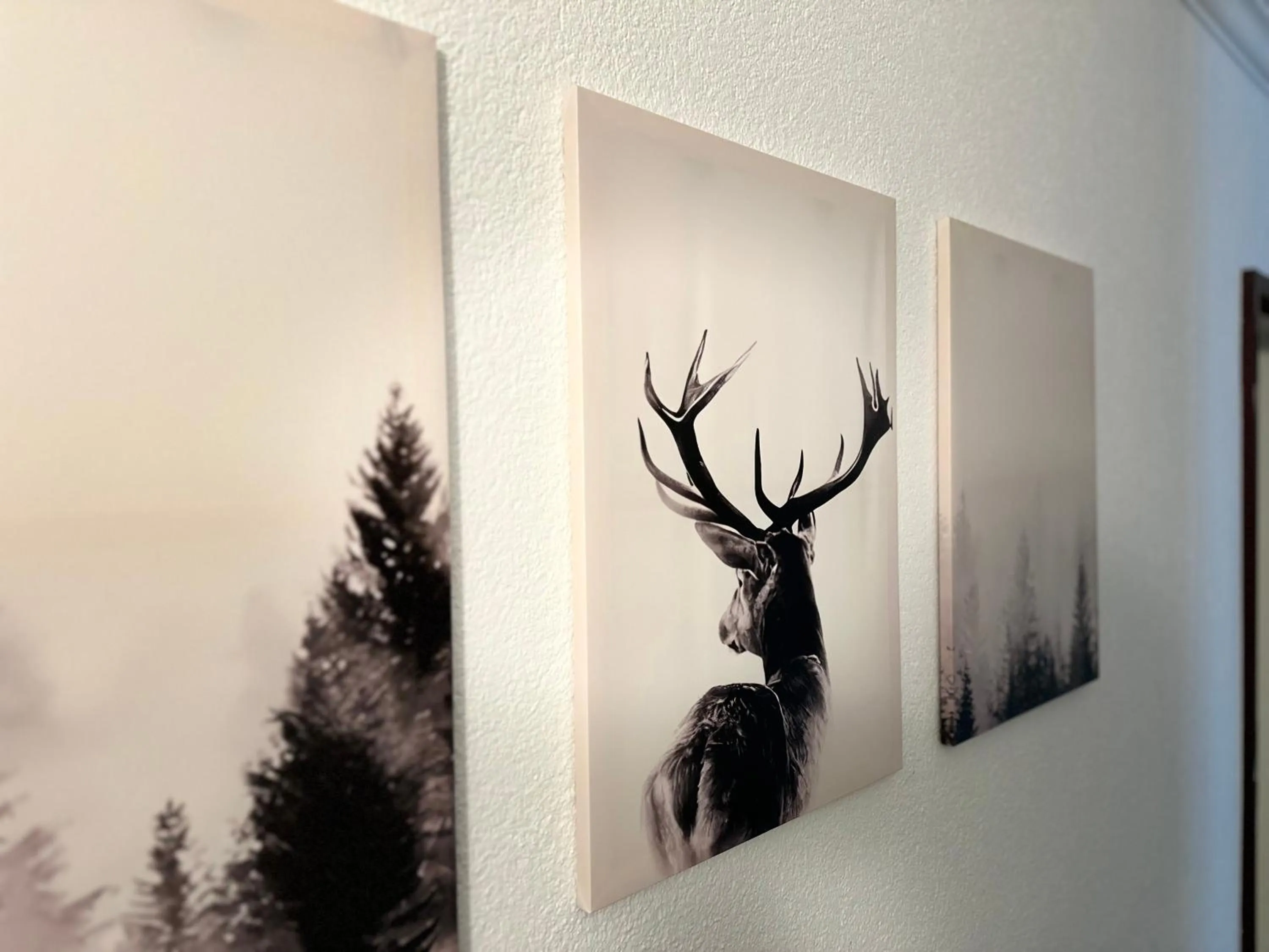 Decorative detail in City Hotel