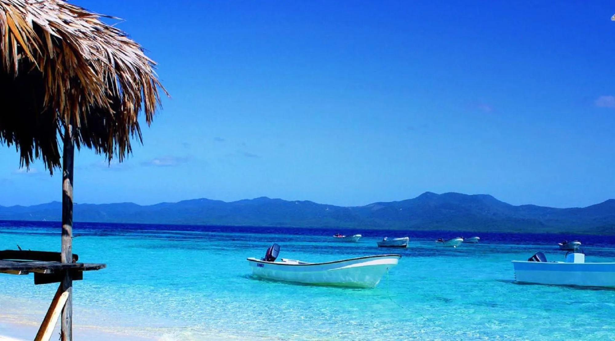 Hotel Las Rosas de Punta Cana