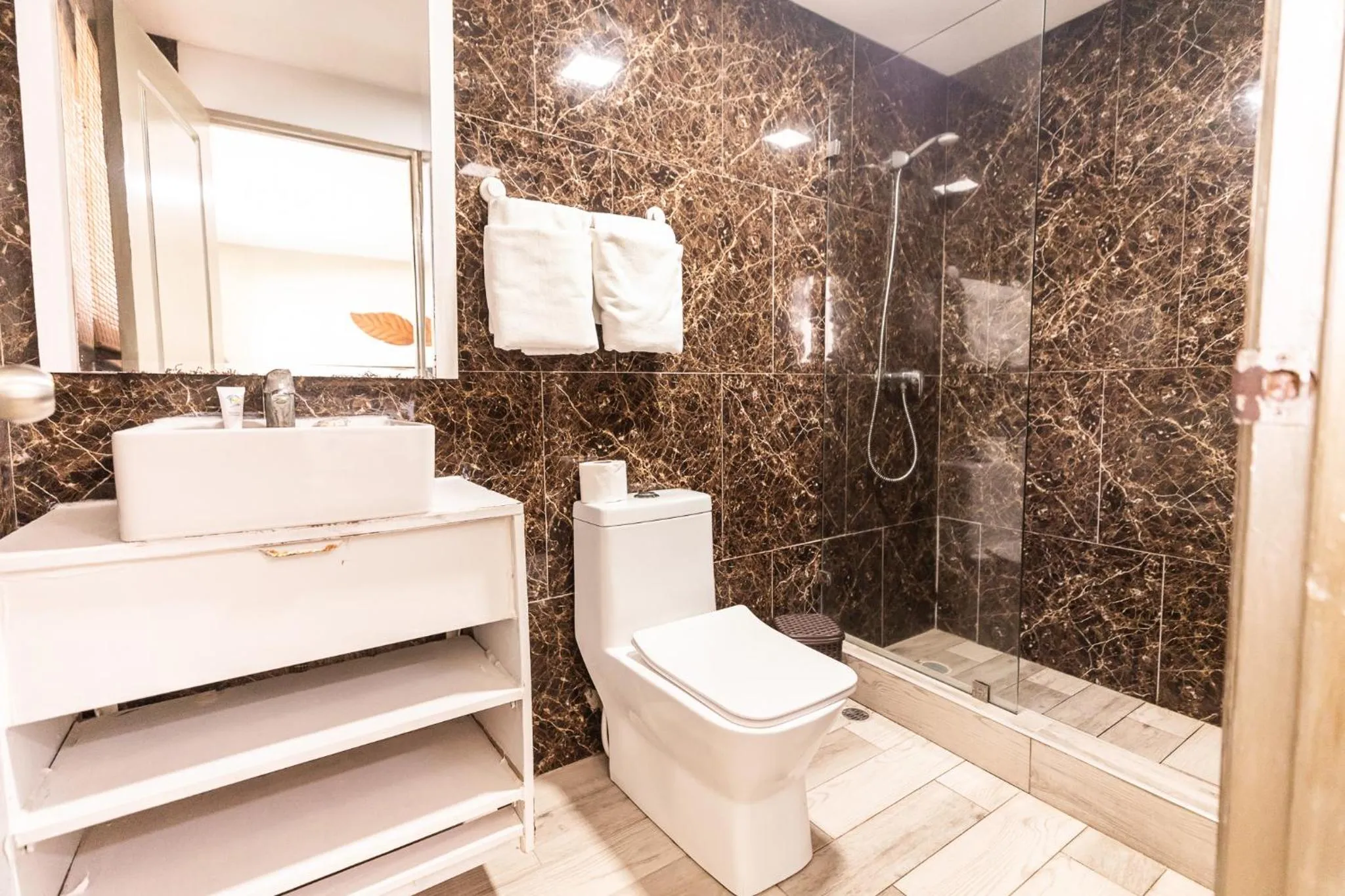 Toilet in Hotel Las Rosas de Punta Cana