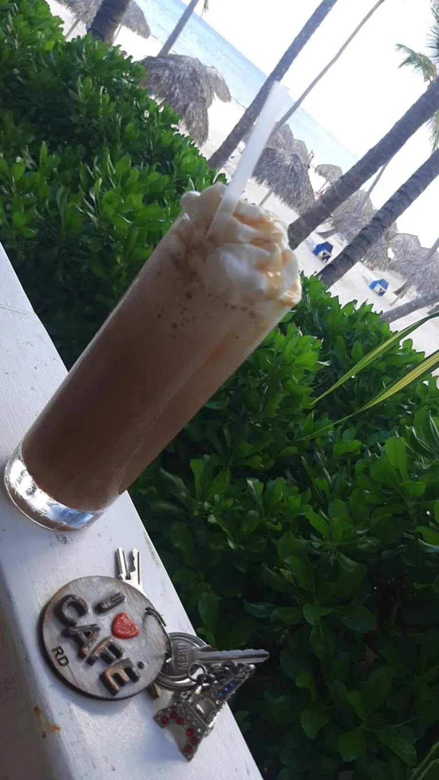 Day in Hotel Las Rosas de Punta Cana