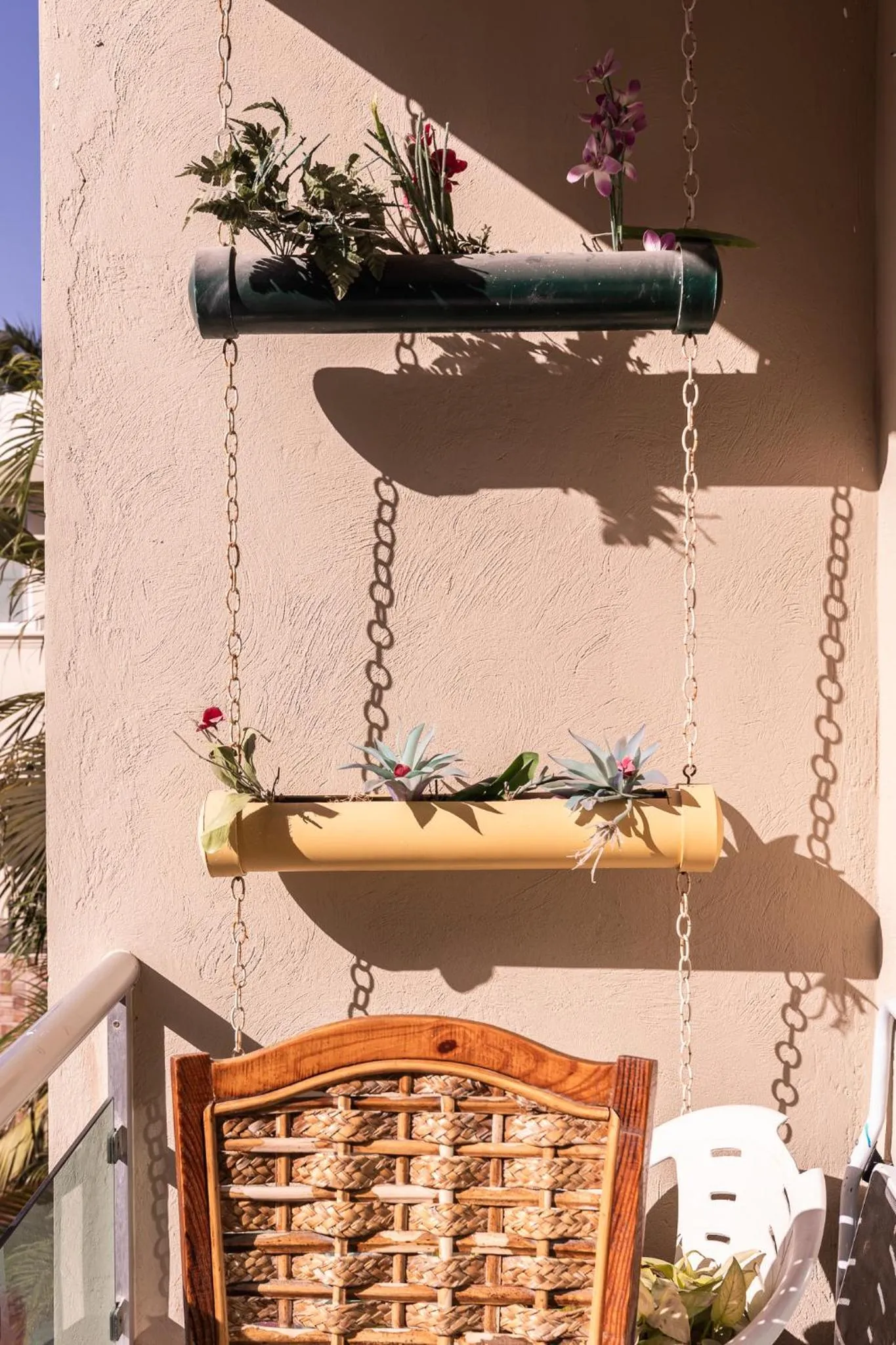 Day in Hotel Las Rosas de Punta Cana