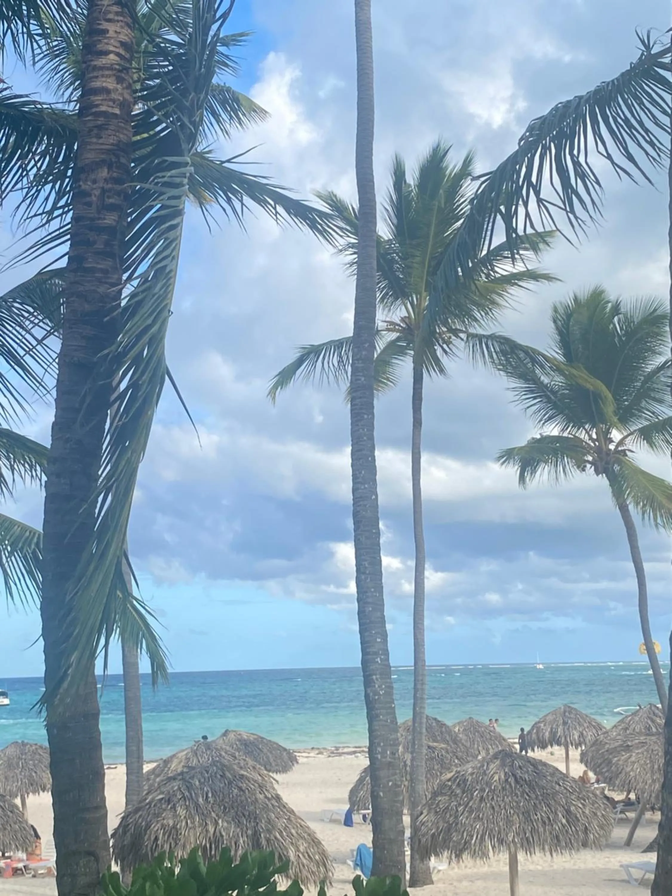 Beach in Hotel Las Rosas de Punta Cana