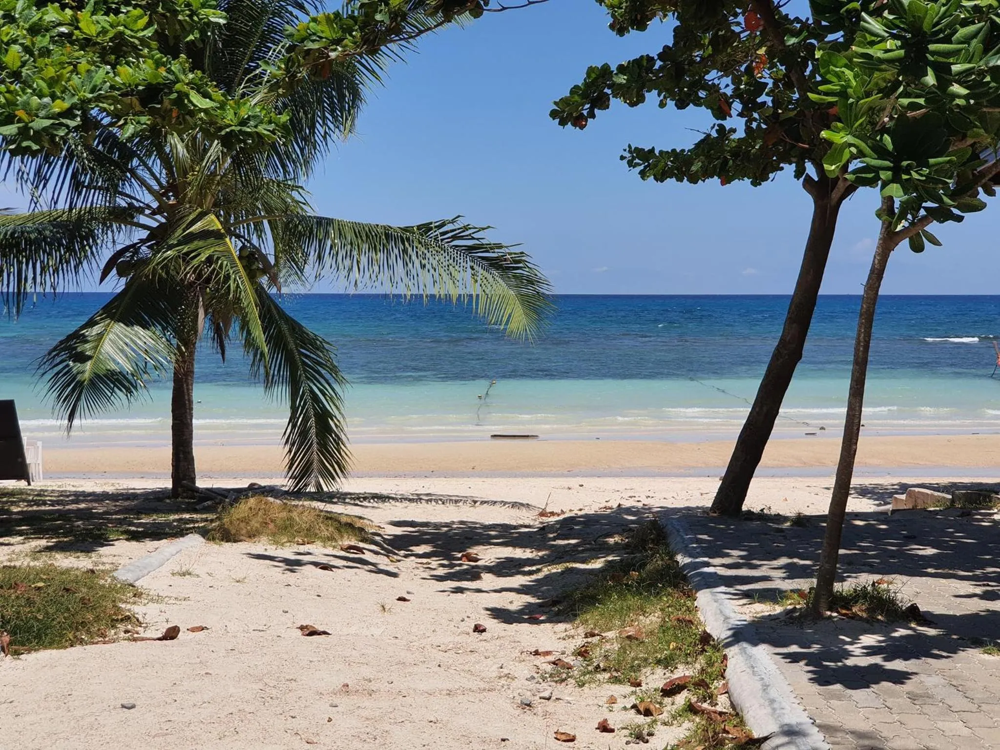 Beach in Island Dive Club