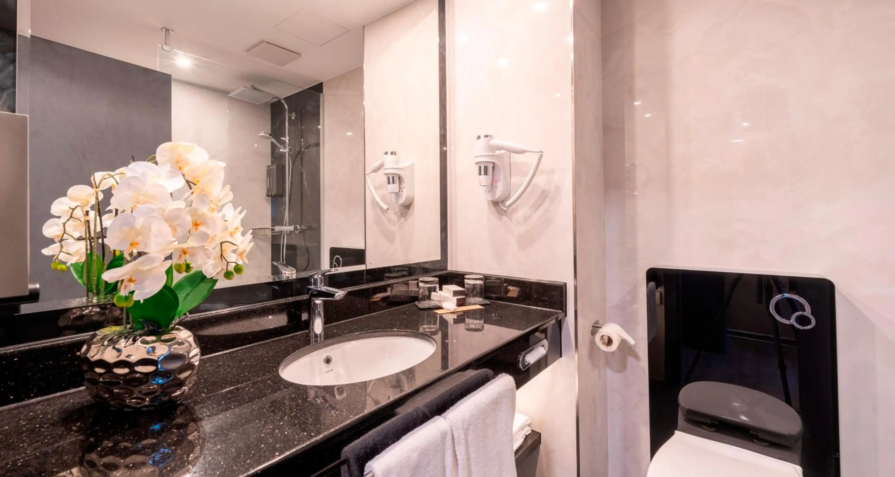 Bathroom in PLAZA Hotel Bruchsal