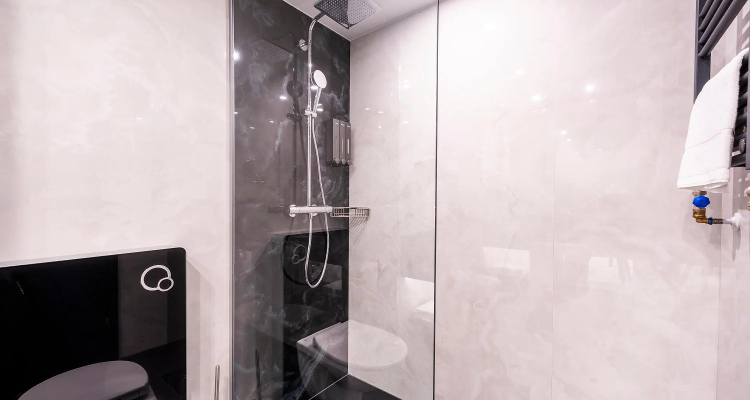 Shower in PLAZA Hotel Bruchsal