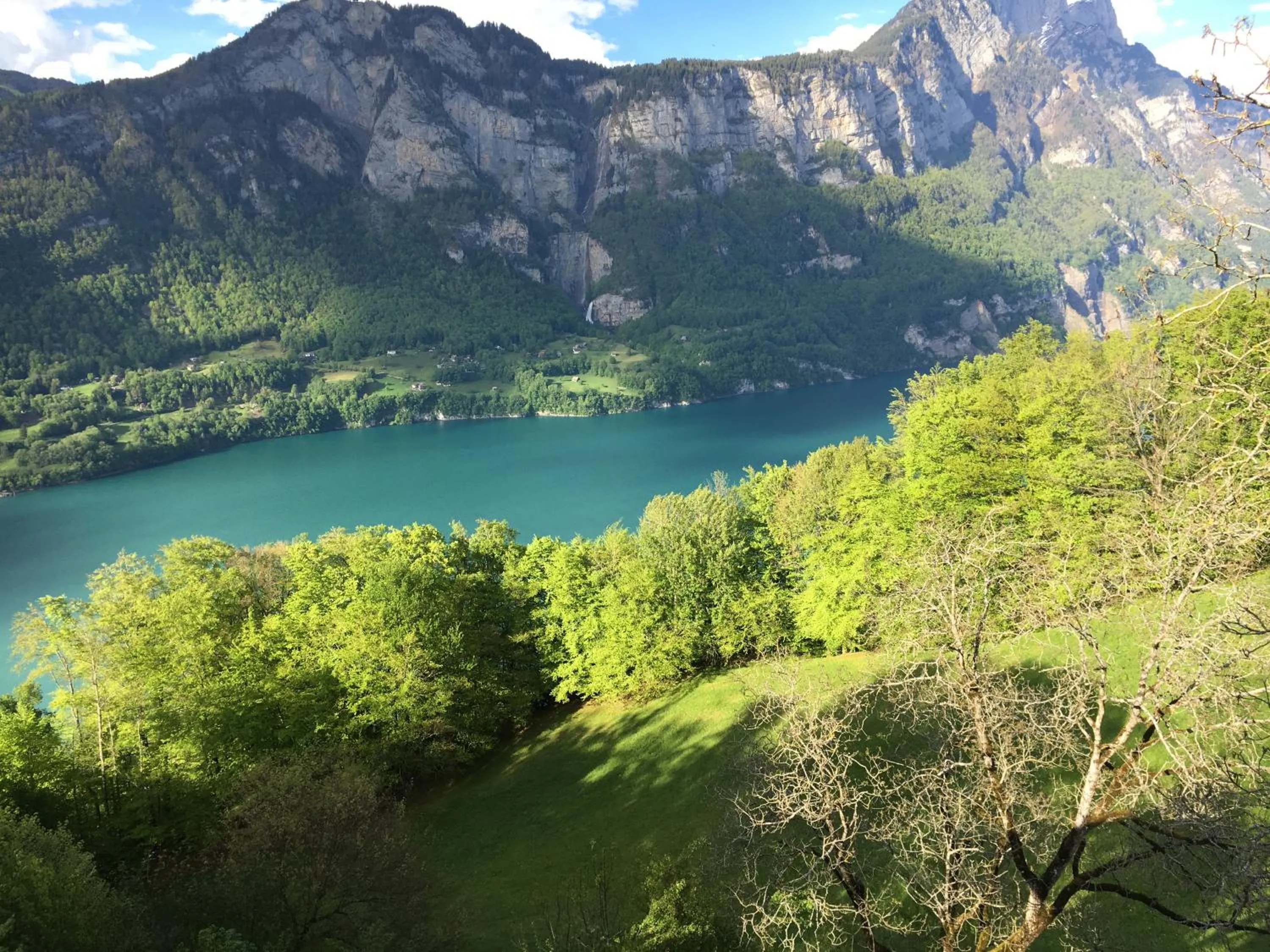 Lake view in Hotel Cafe Seeblick