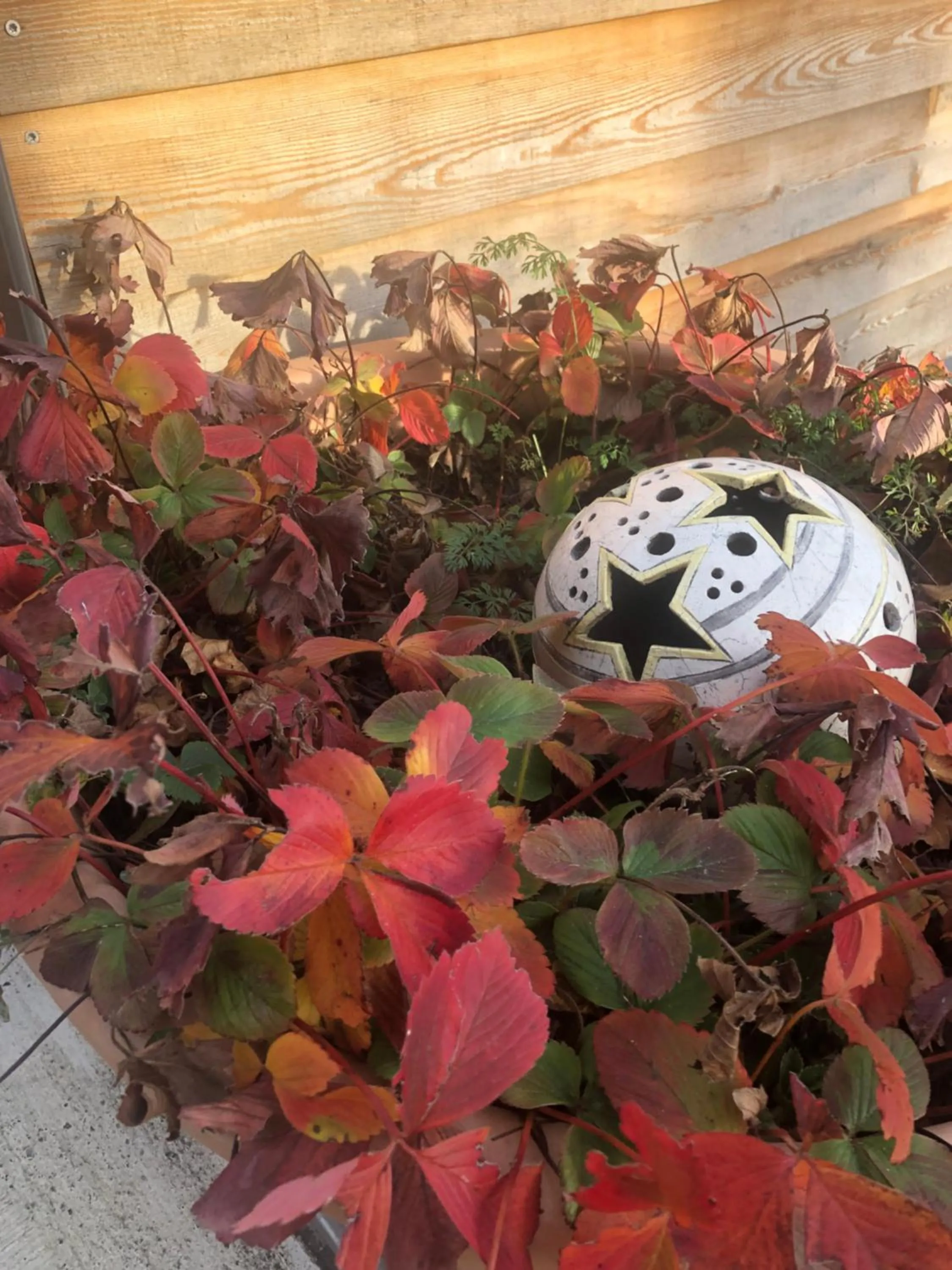 Property building in Hotel Cafe Seeblick