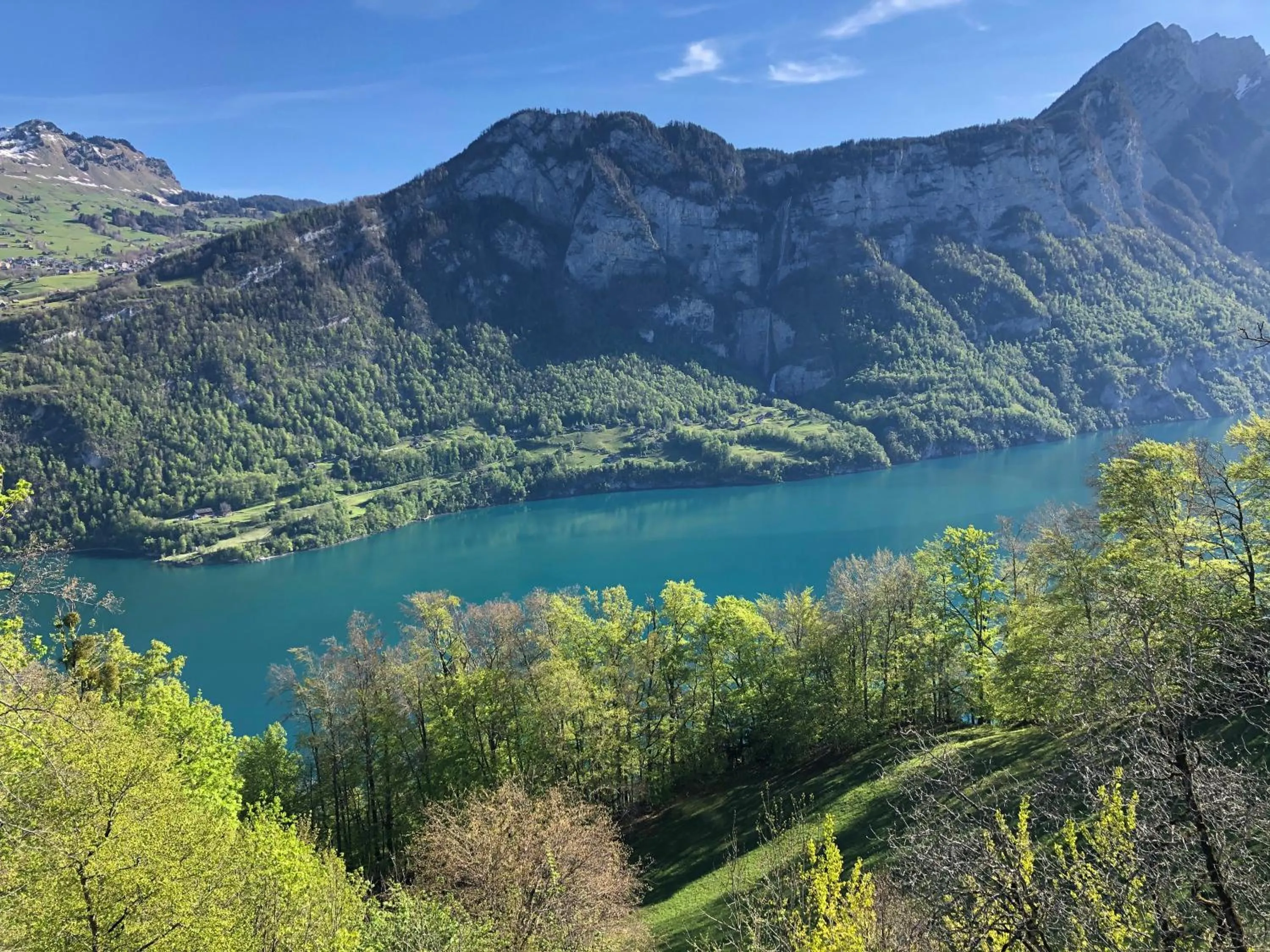 Lake view in Hotel Cafe Seeblick