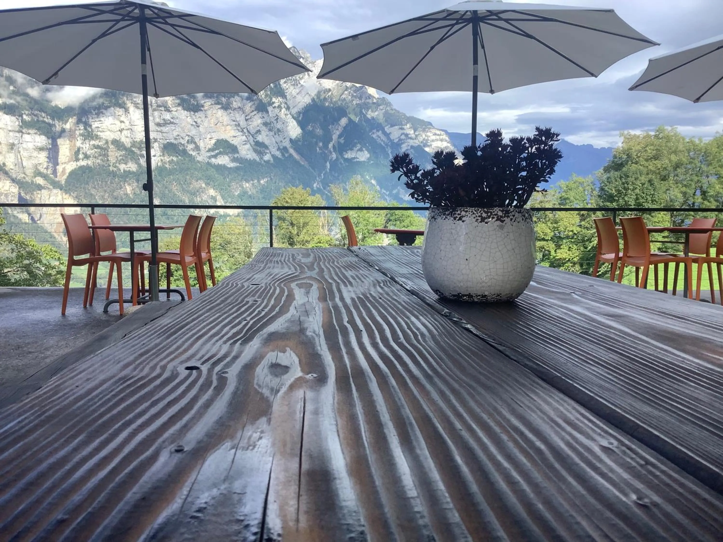 Restaurant/places to eat in Hotel Cafe Seeblick