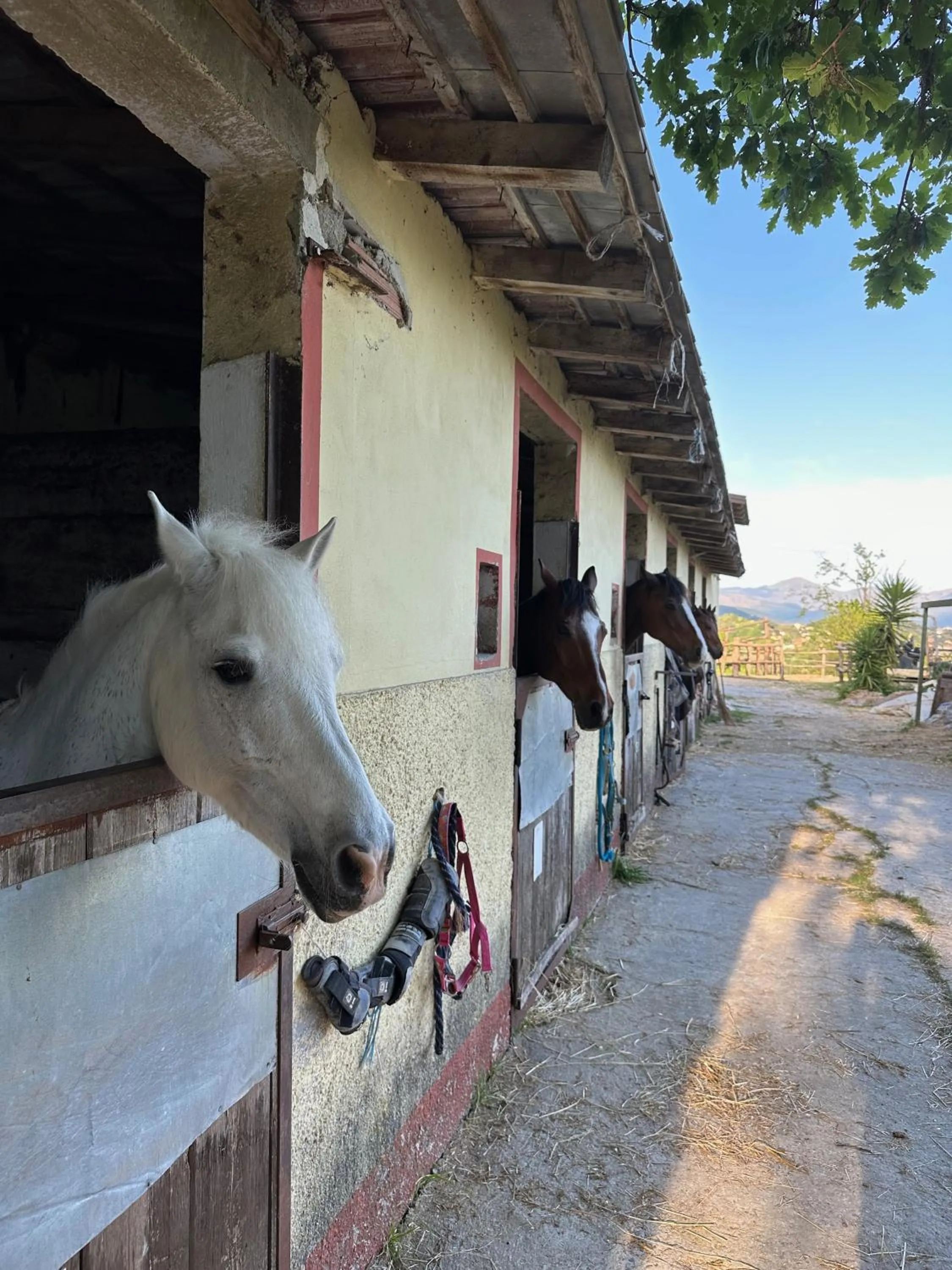 Horse-riding in Gli Scogli Luxury Residence Hotel