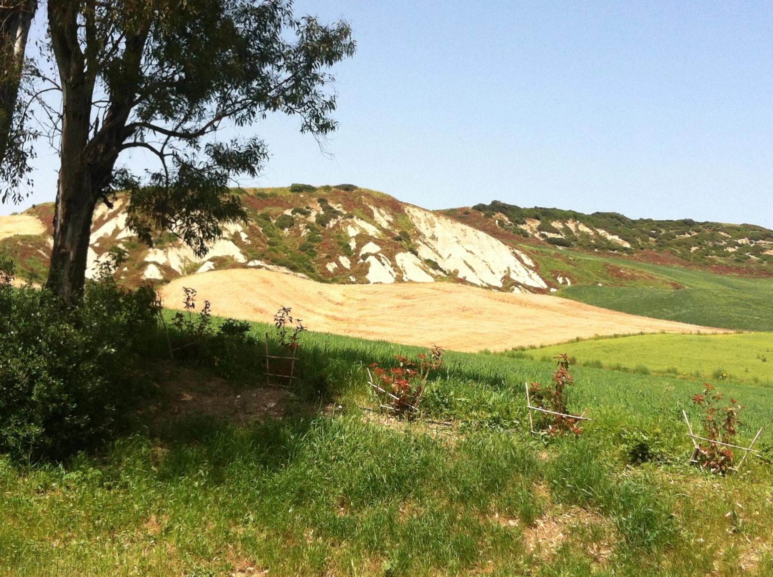 View (from property/room) in Locanda Villa Naumanni