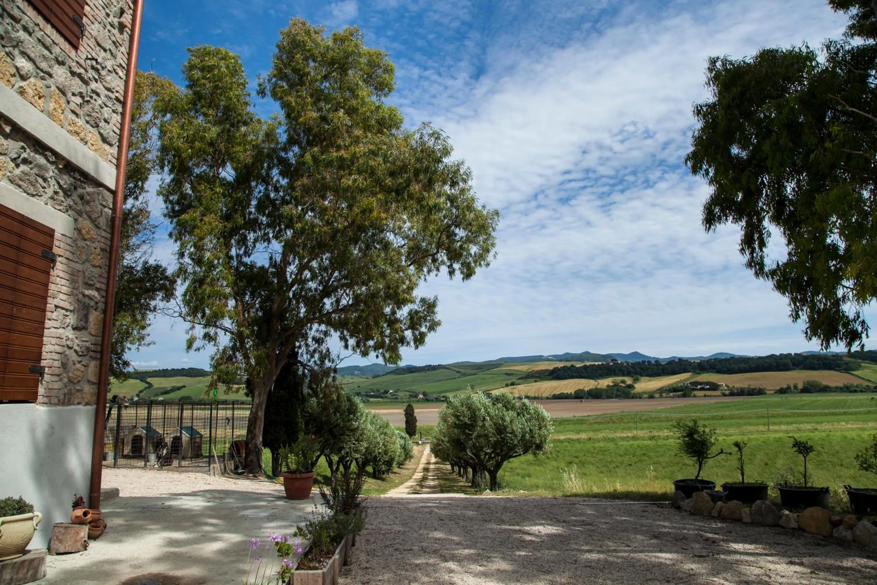 Facade/entrance in Locanda Villa Naumanni