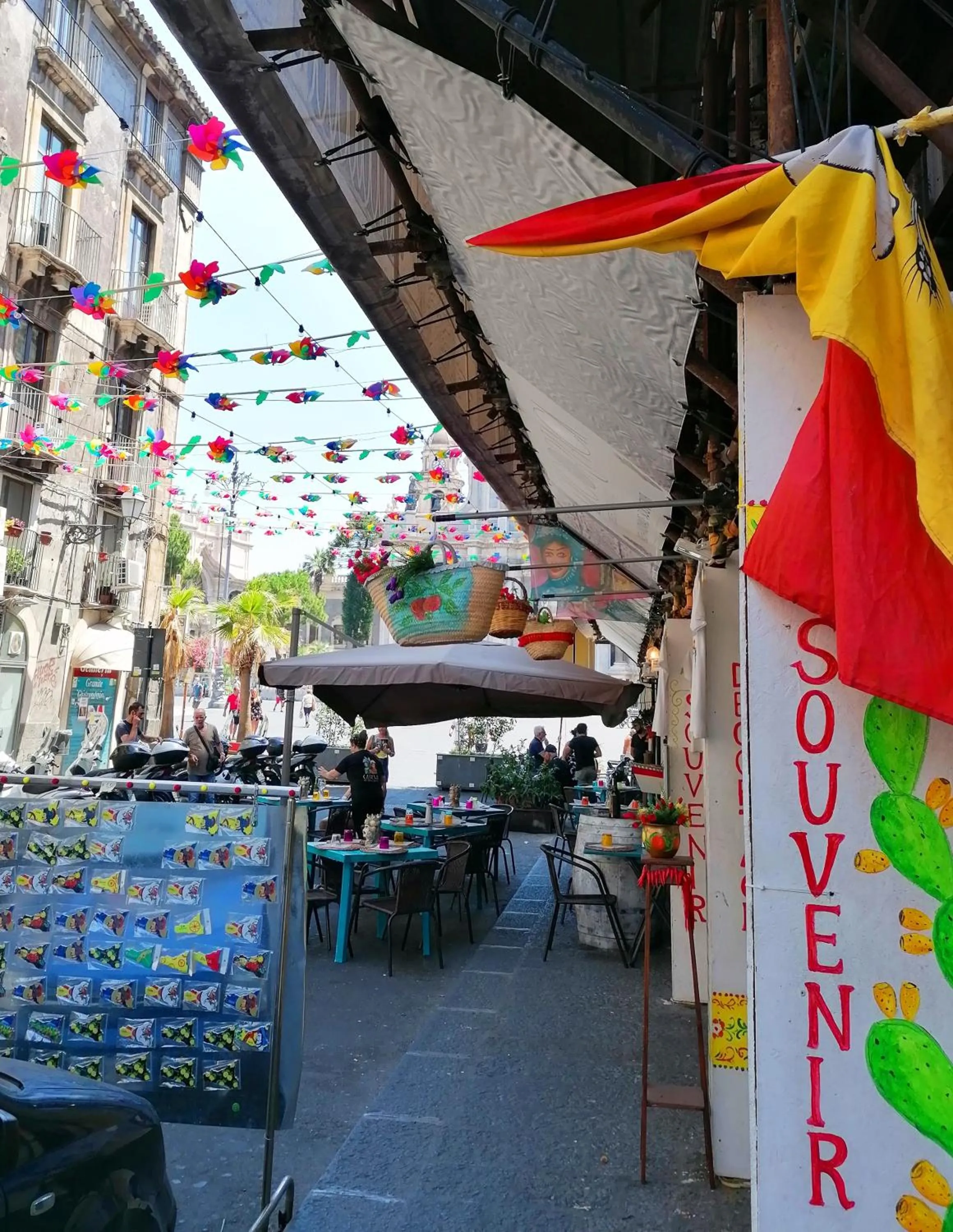 Shopping Area in Diletta Oasi