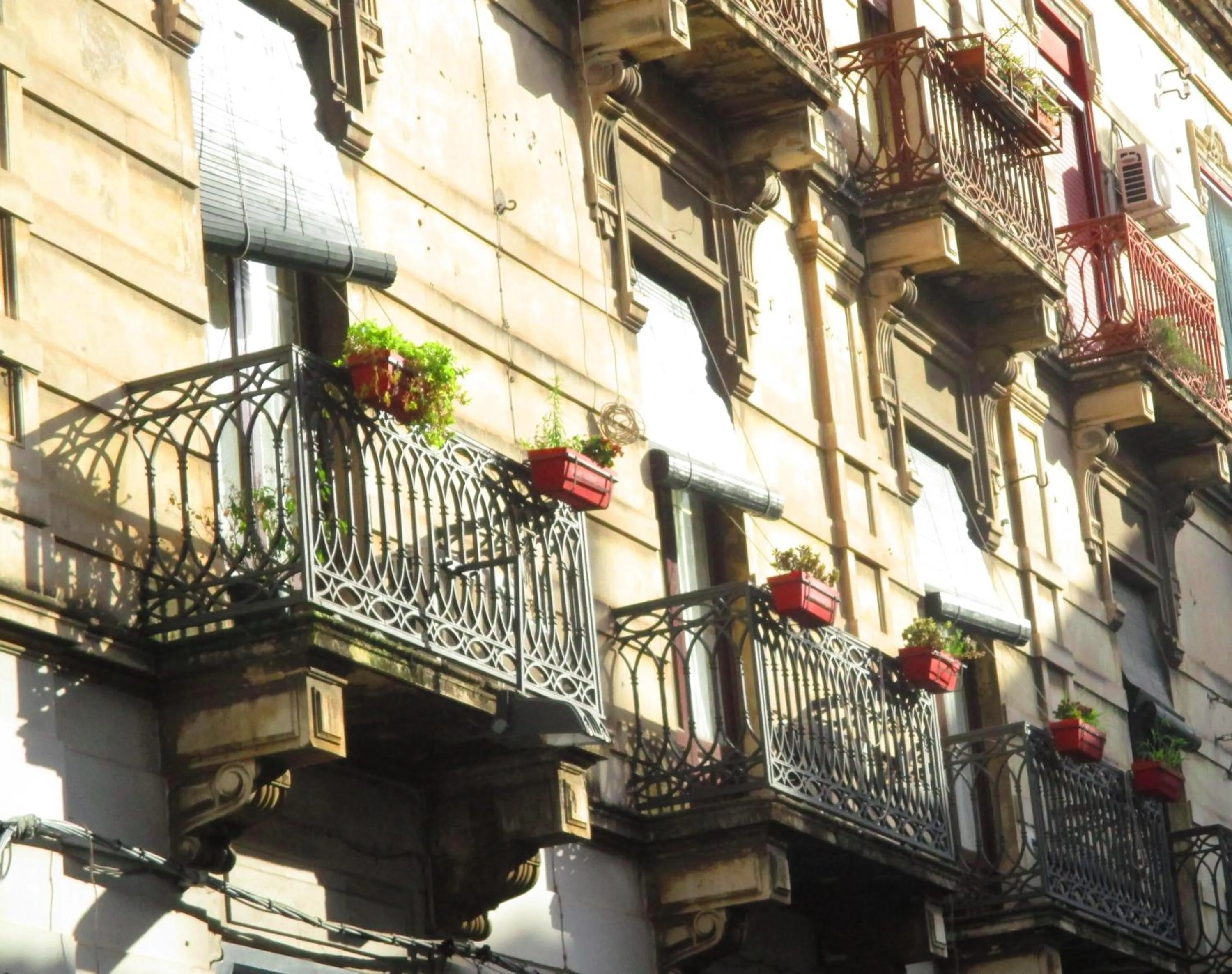 Property building in Diletta Oasi