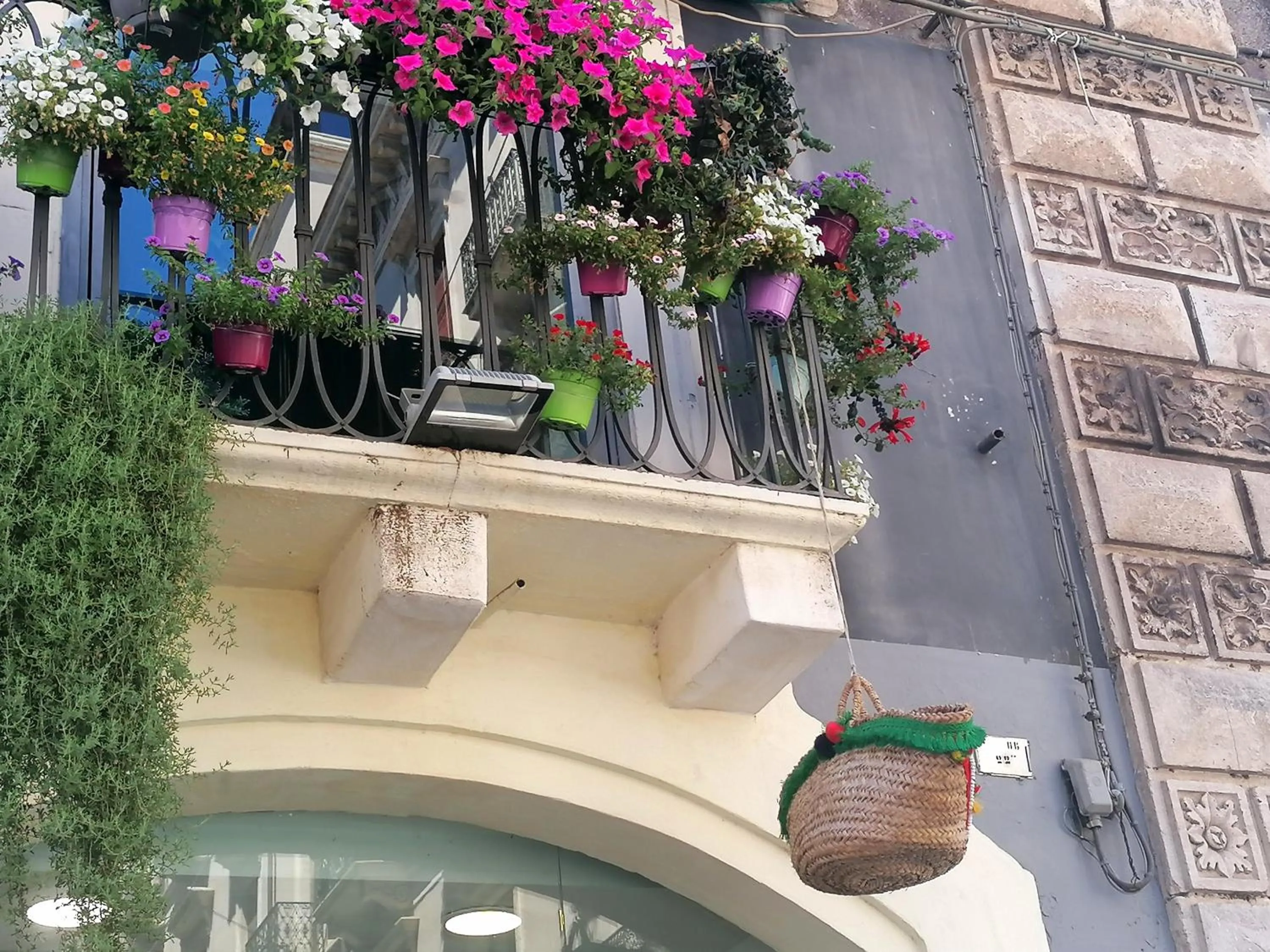 Logo/Certificate/Sign in Diletta Oasi