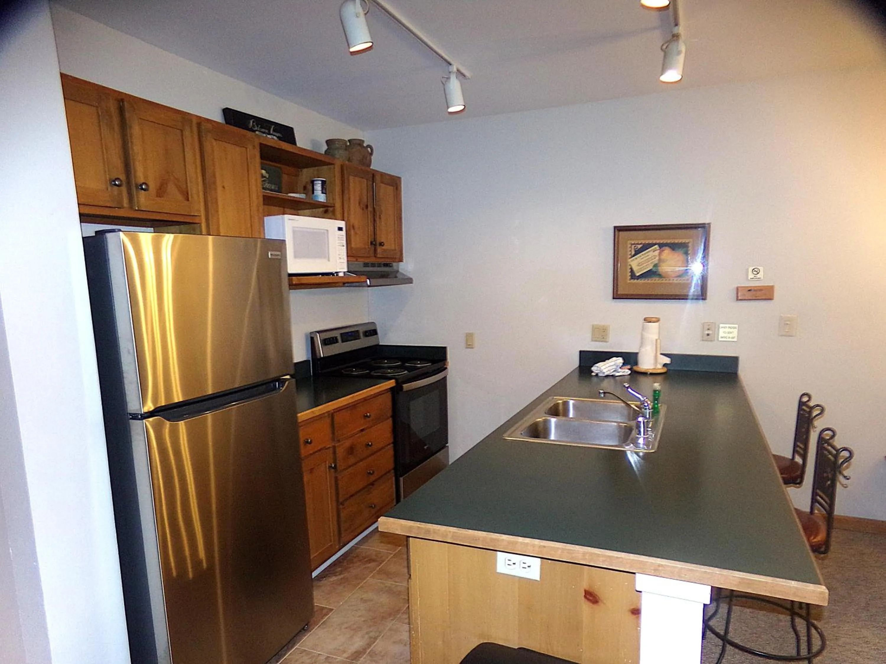 Kitchen or kitchenette in Black Bear 2 Bed 2 Bath BBCS