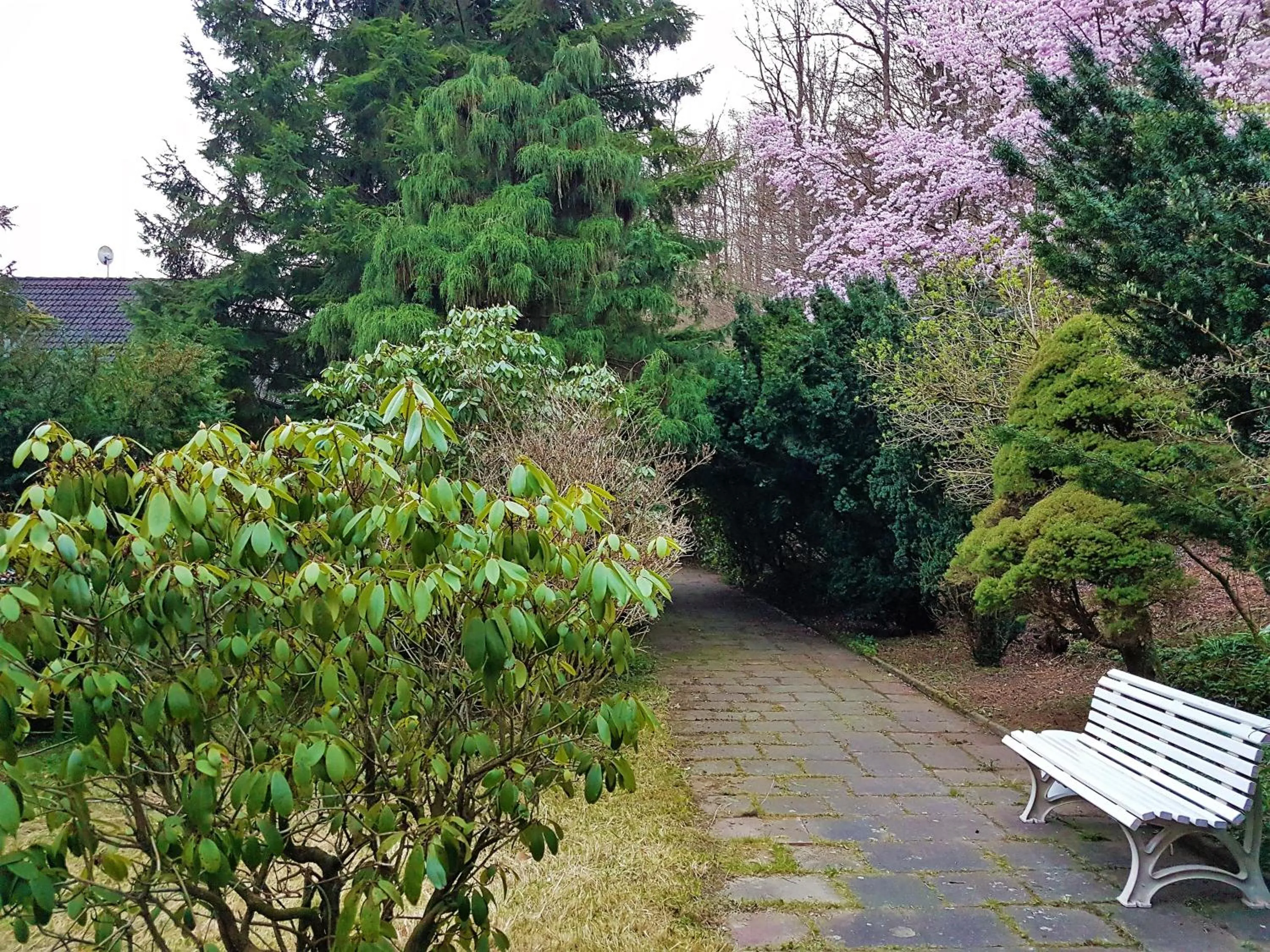 Garden in Siegerland-Hotel