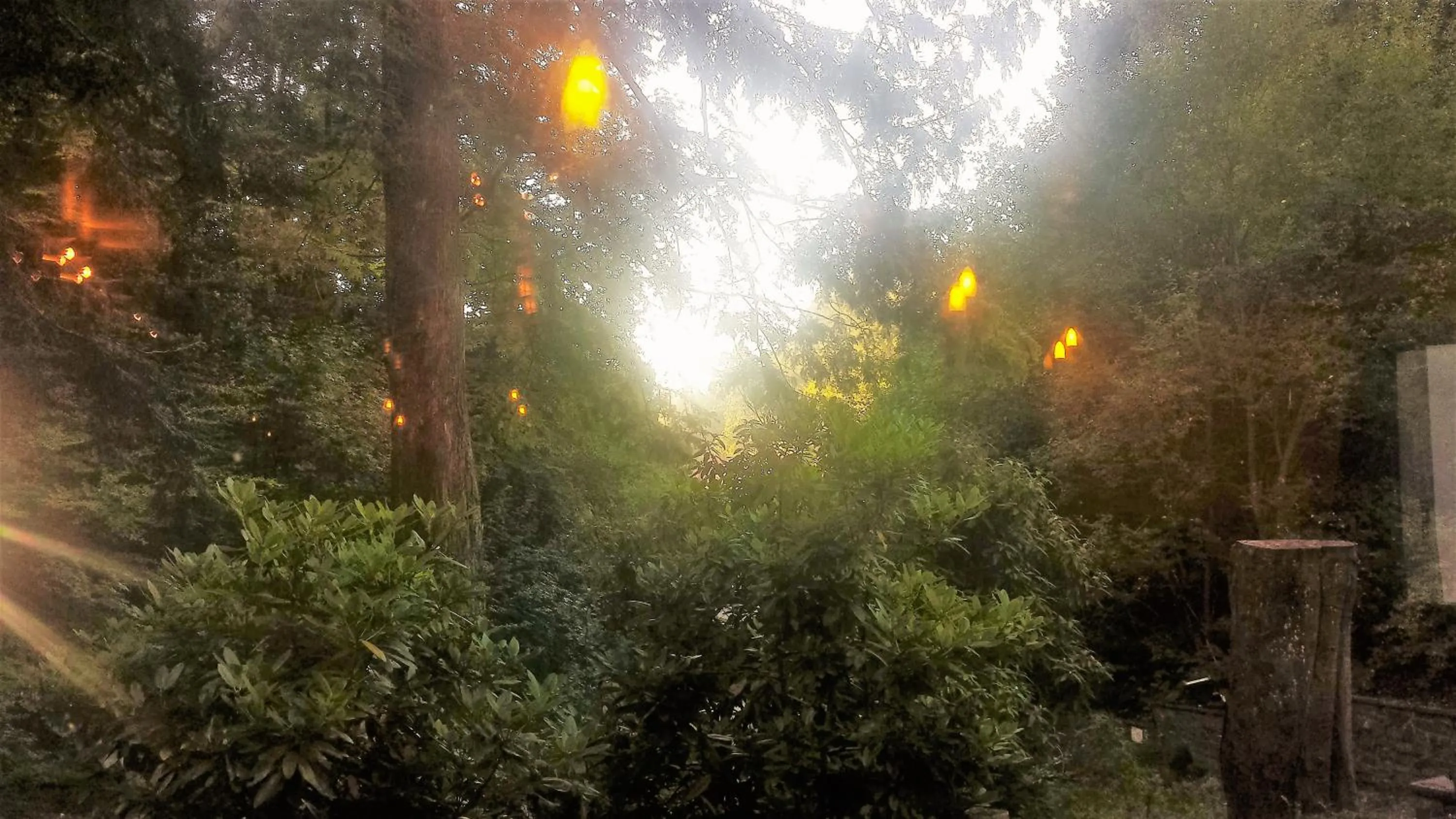 Garden in Siegerland-Hotel