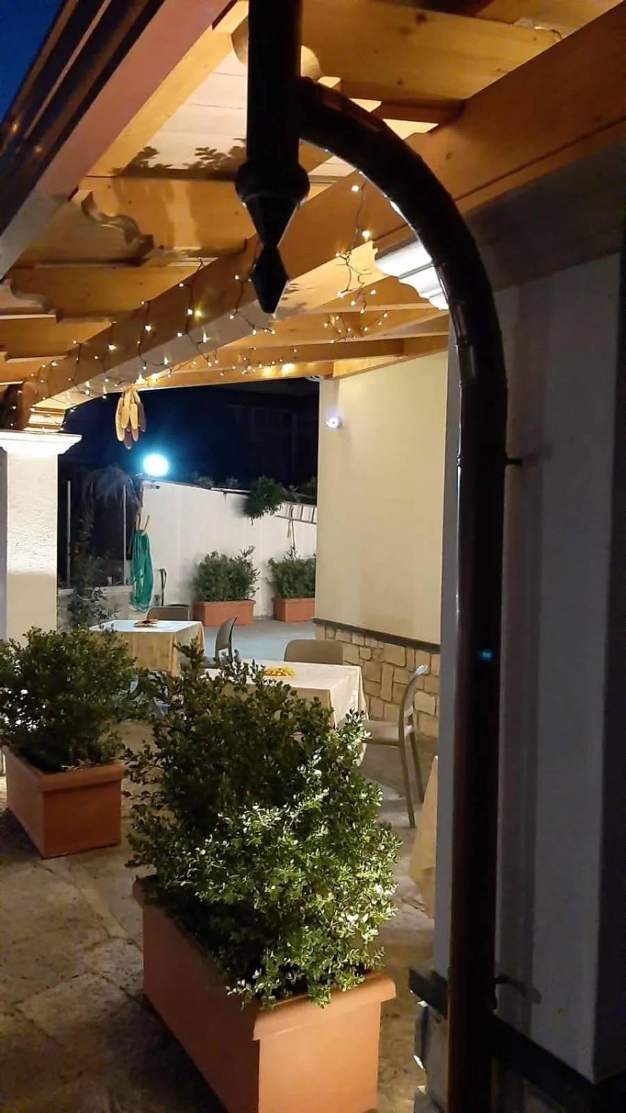 Garden in Al Chiaro di Luna