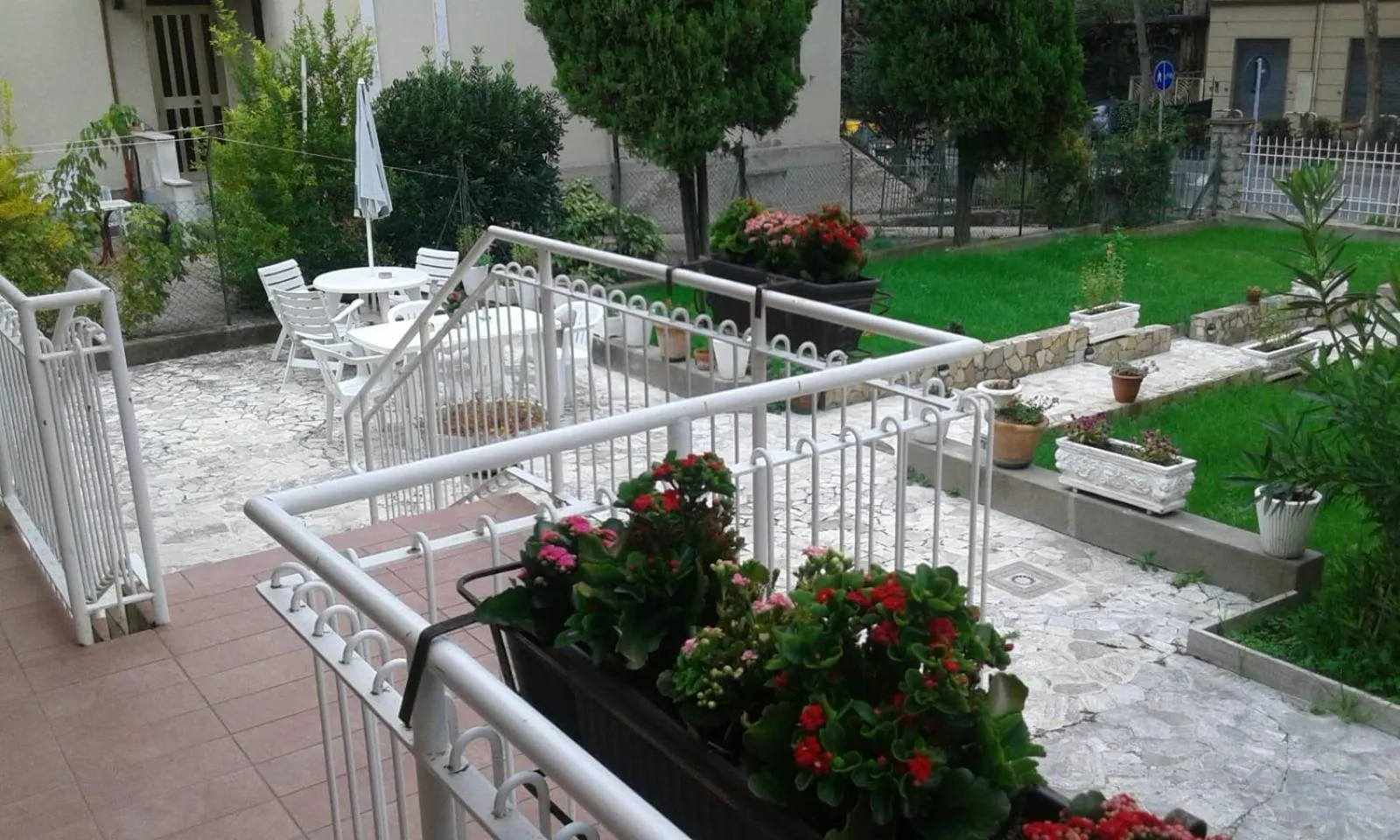 Garden view in Domus Cesena