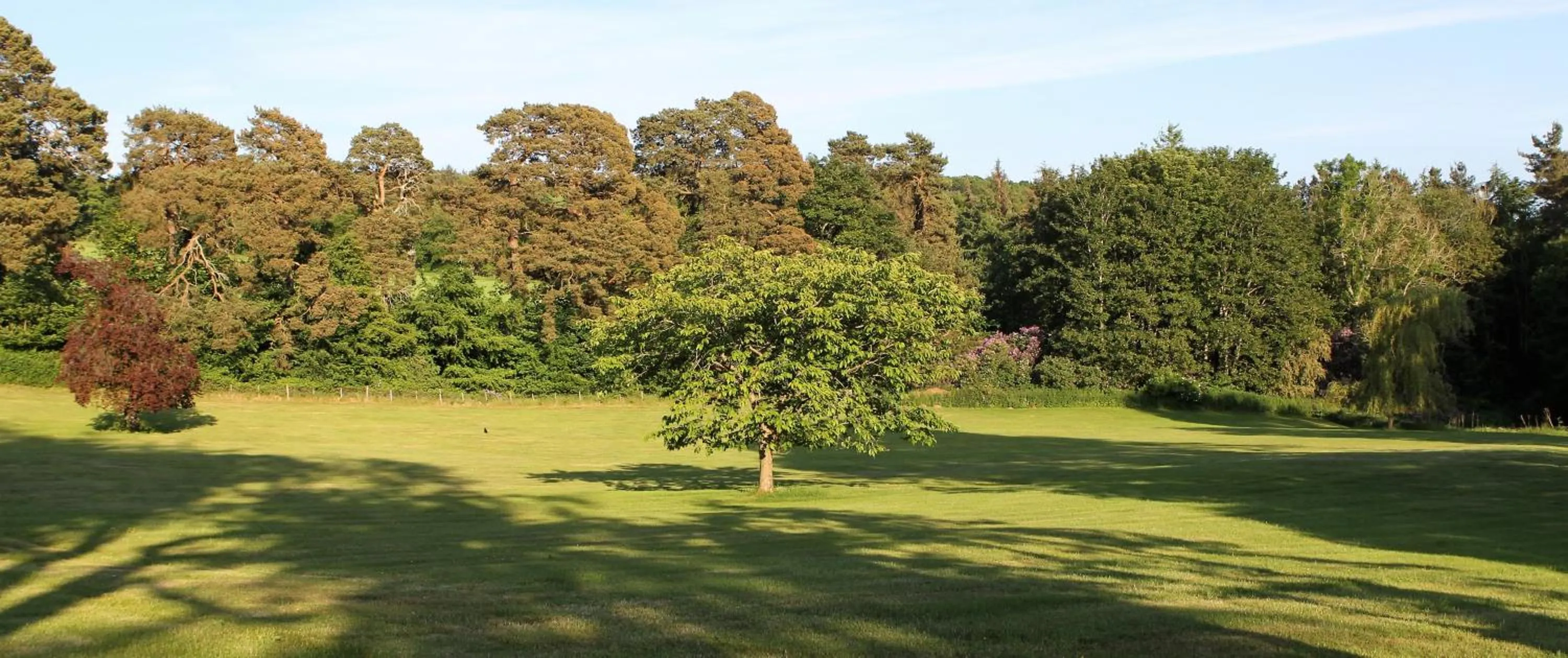 Property building in Kirklands House Melrose Bed and Breakfast
