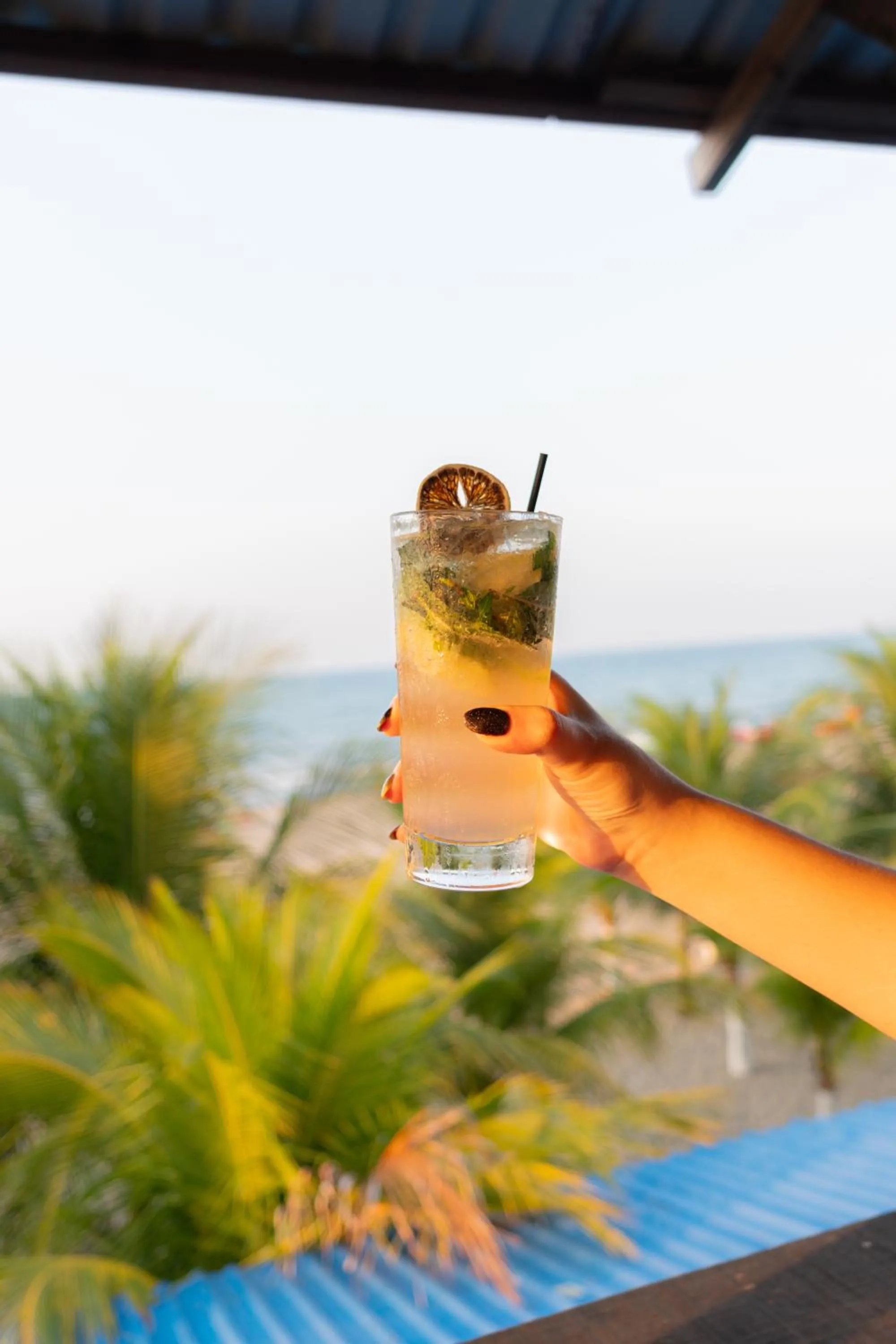 Food and drinks in Hotel Palmazul - Viña del Mar