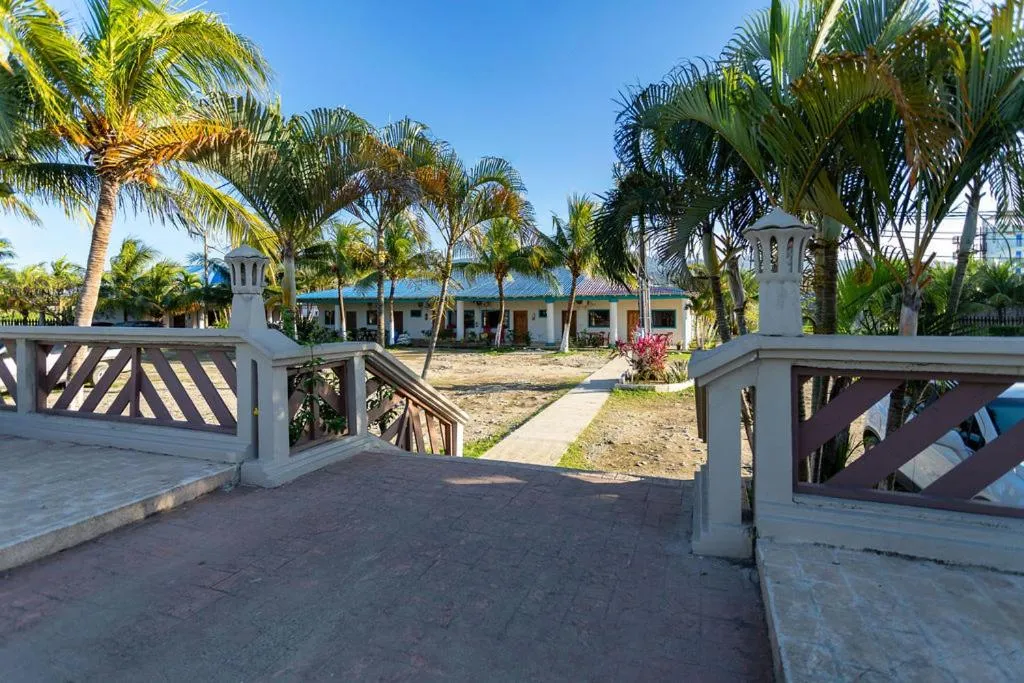 View (from property/room) in Hotel Palmazul - Viña del Mar