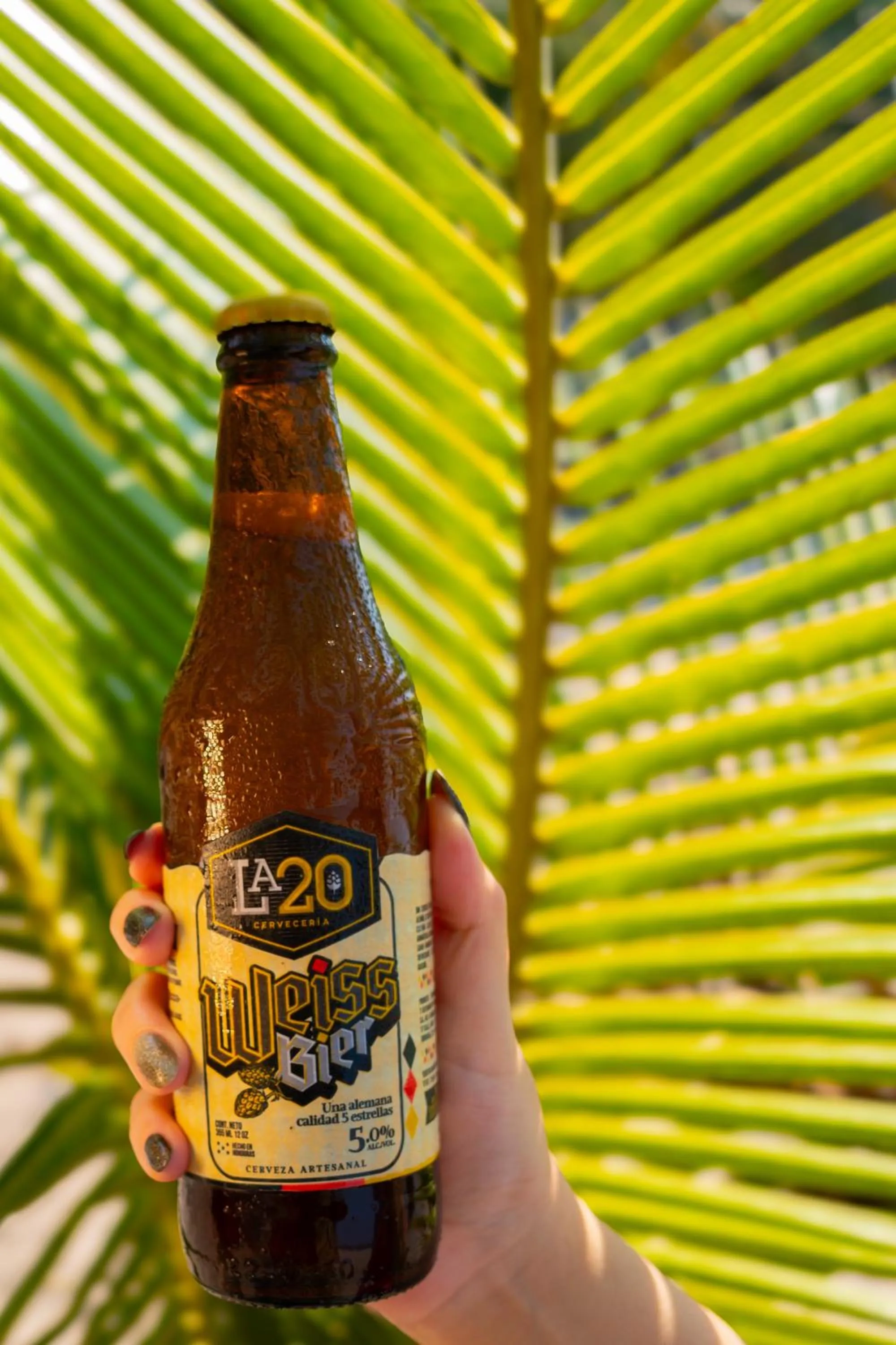 Food and drinks in Hotel Palmazul - Viña del Mar