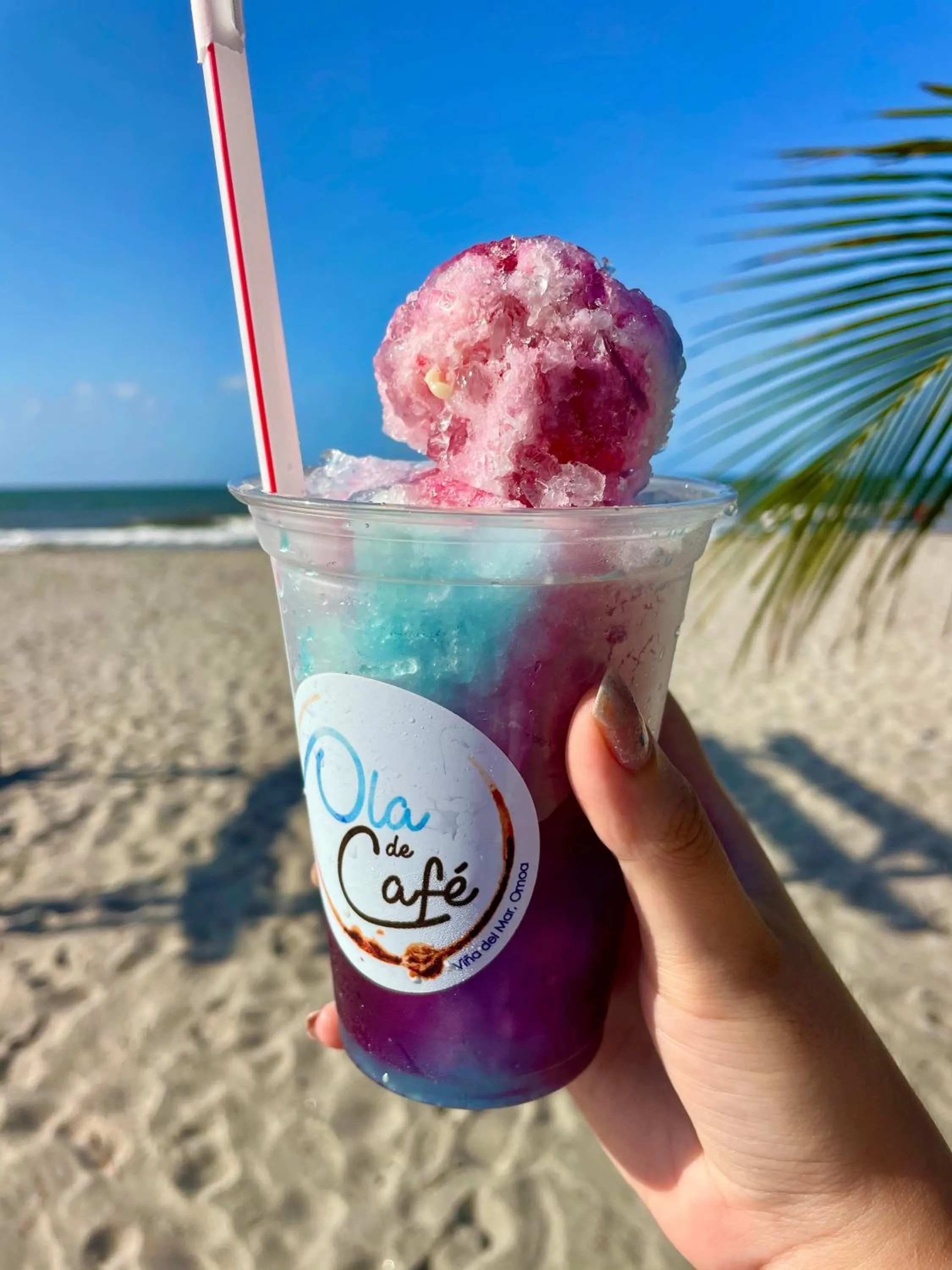 Restaurant/places to eat in Hotel Palmazul - Viña del Mar