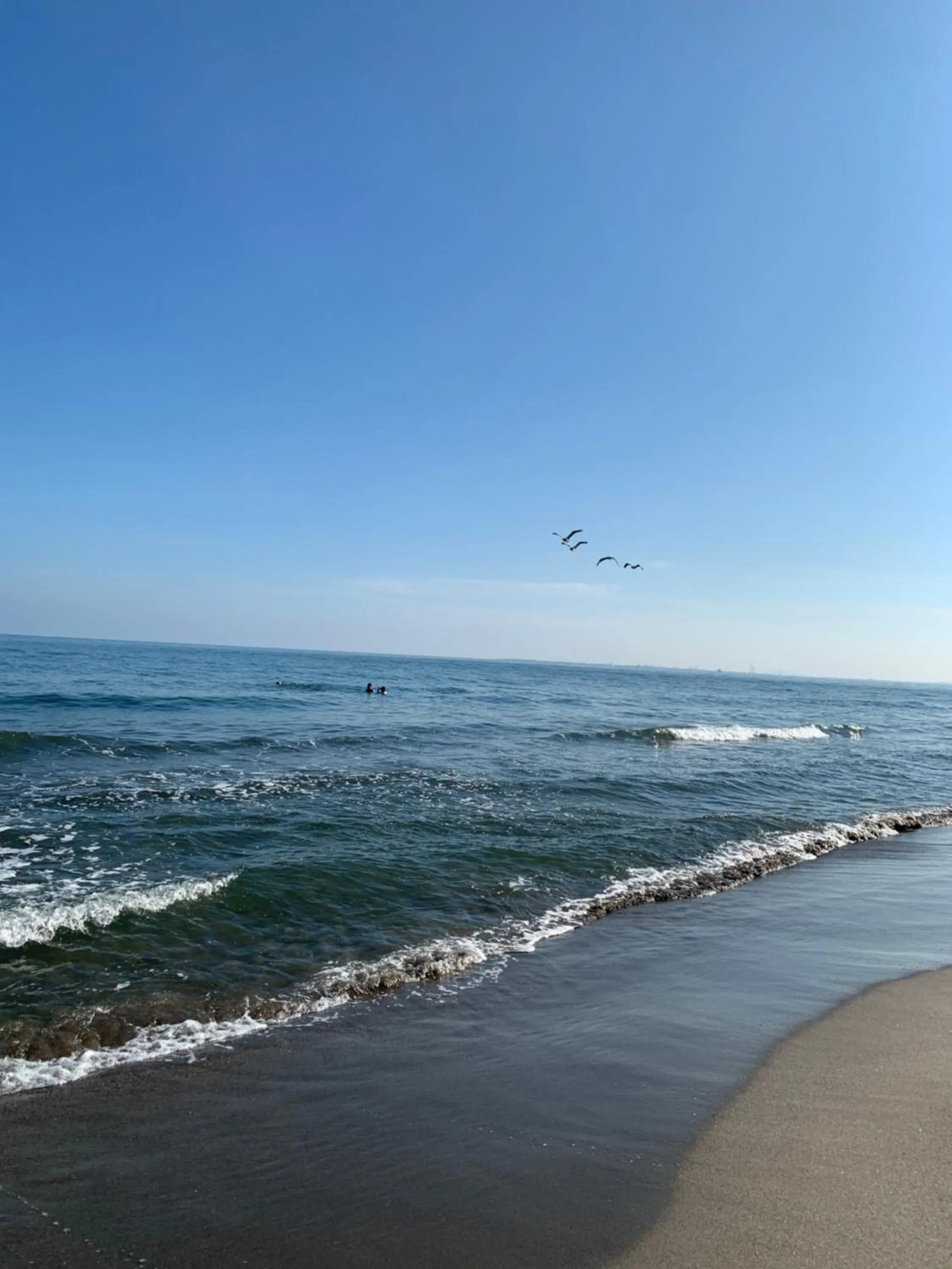 Beach in Hotel Palmazul - Viña del Mar