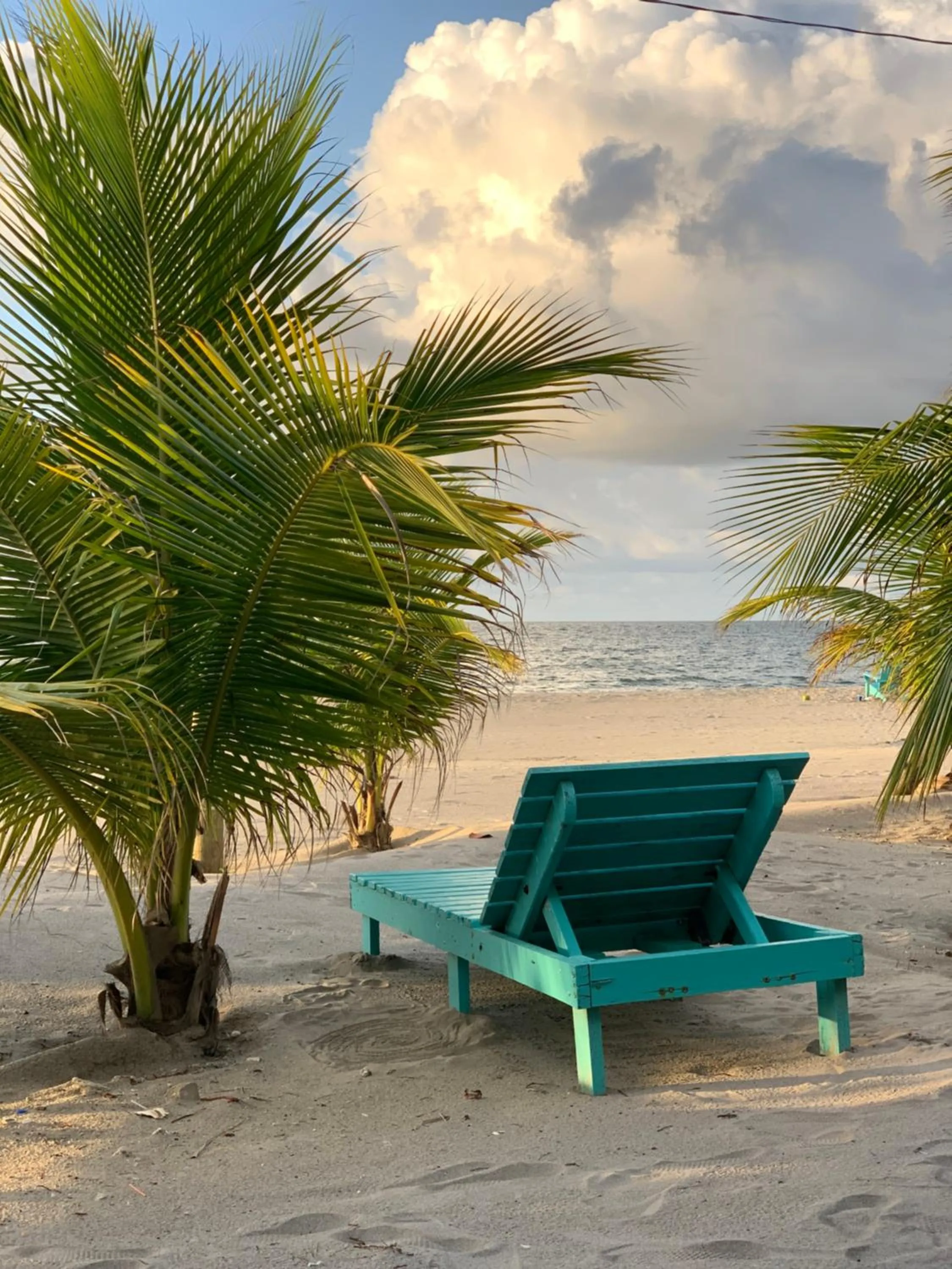 Beach in Hotel Palmazul - Viña del Mar