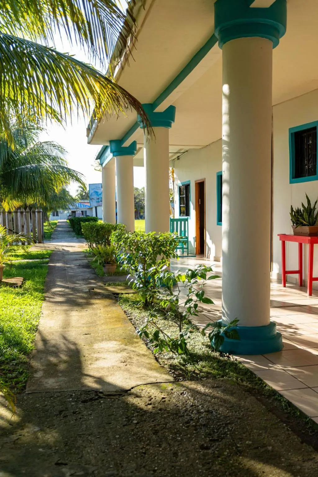 Garden view in Hotel Palmazul - Viña del Mar