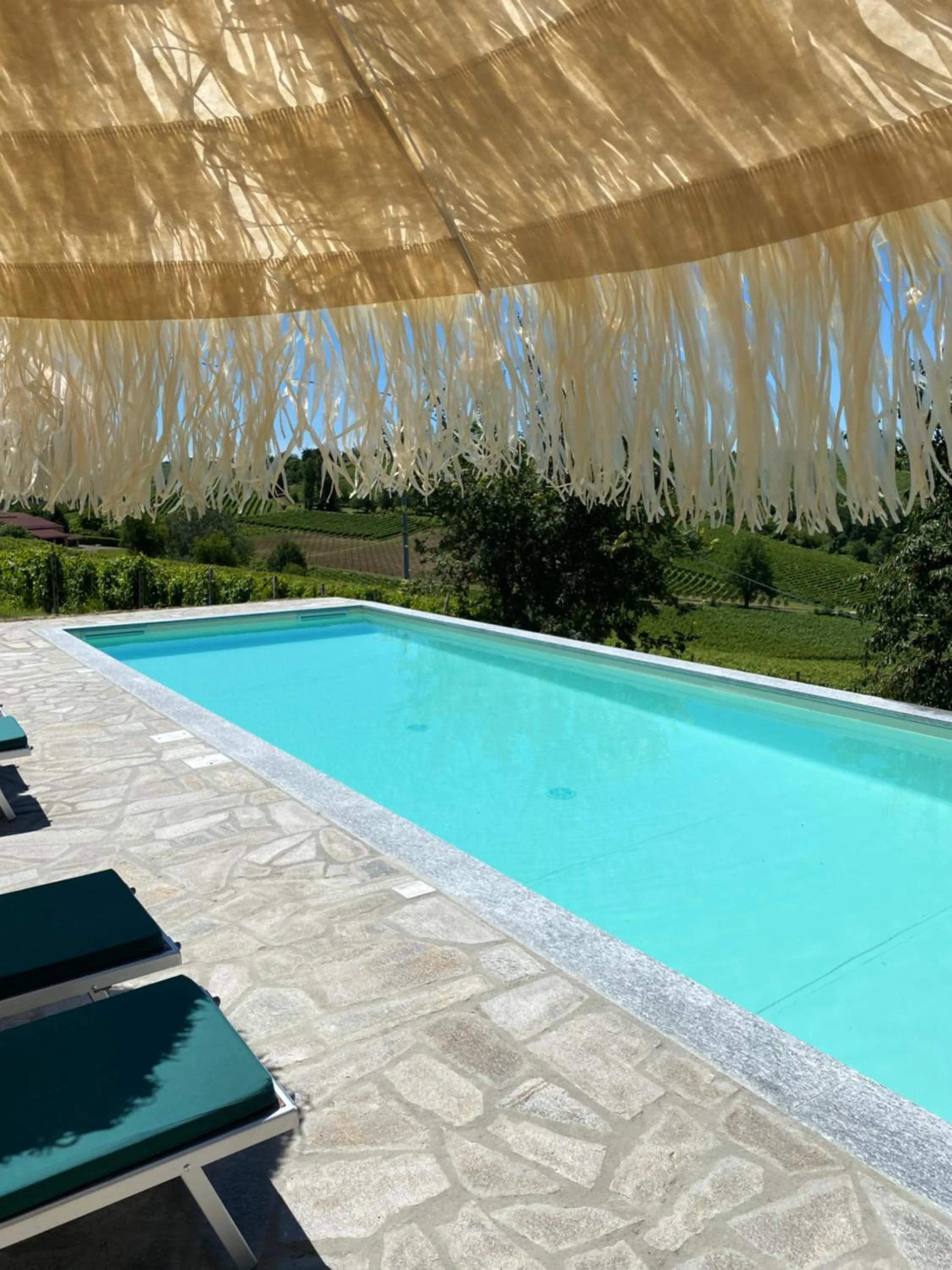 Day in Allegro Holiday