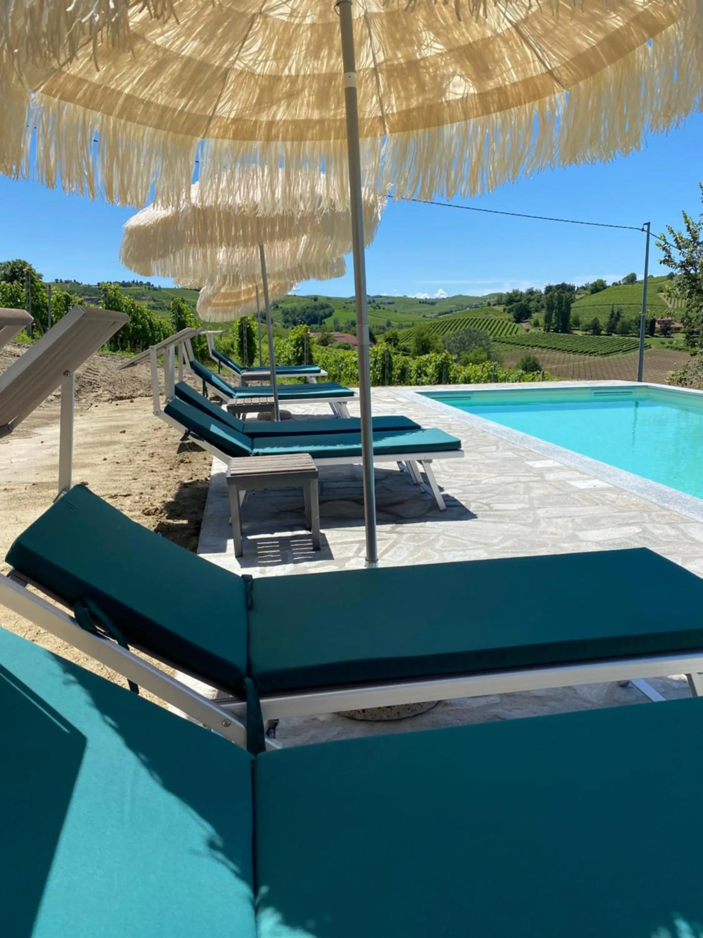 Day in Allegro Holiday